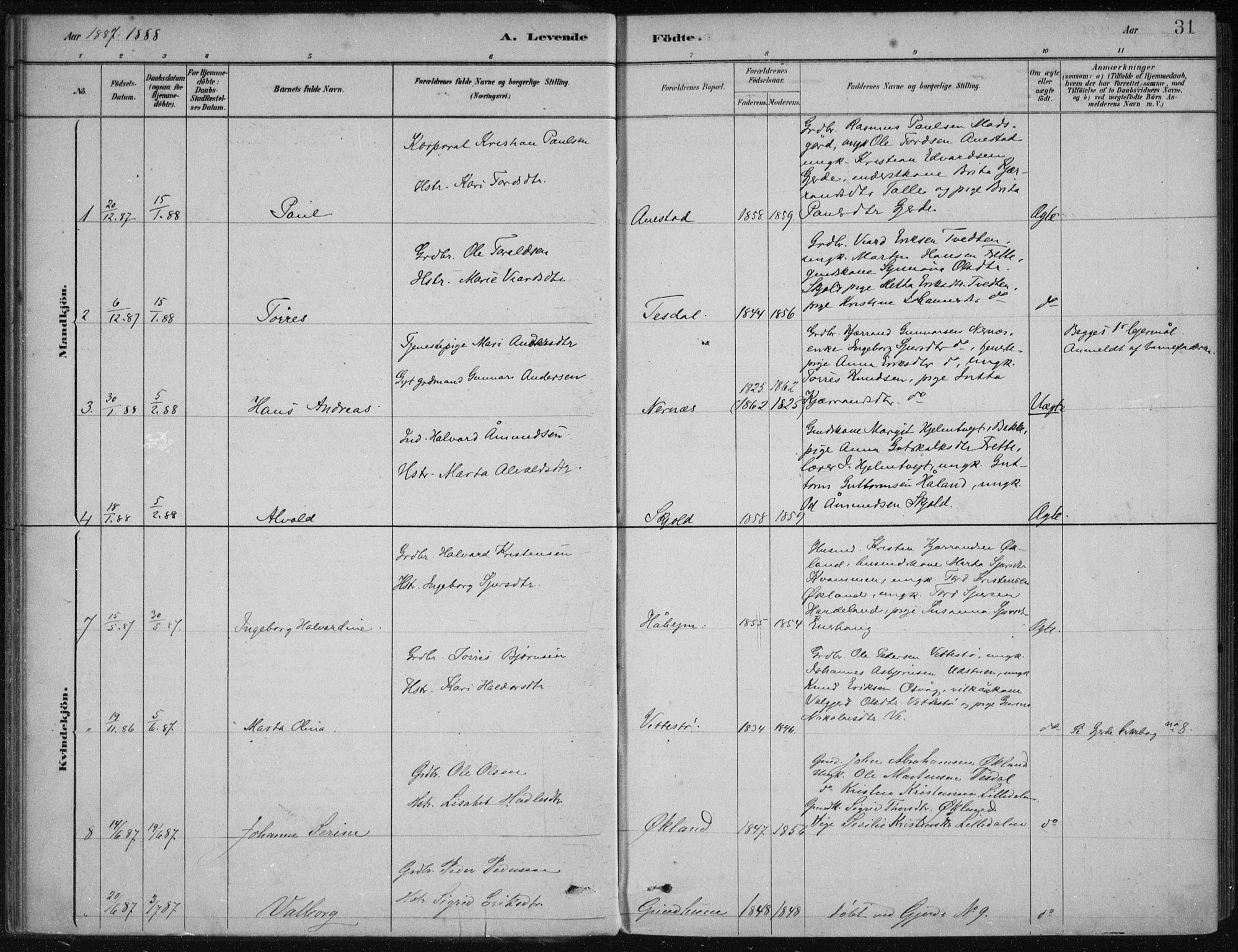 Etne sokneprestembete, AV/SAB-A-75001/H/Haa: Parish register (official) no. D  1, 1879-1919, p. 31