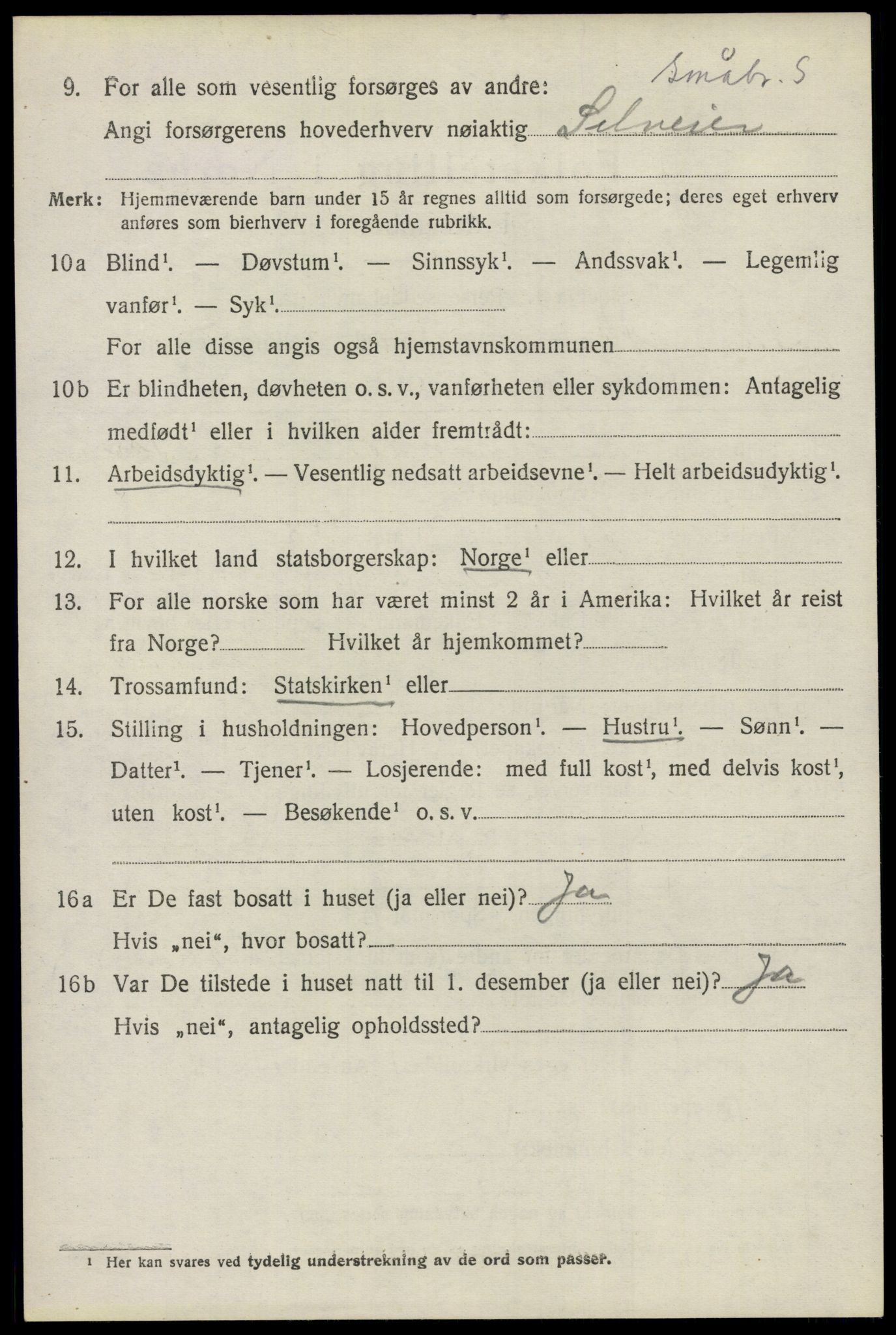 SAO, 1920 census for Nes, 1920, p. 7623