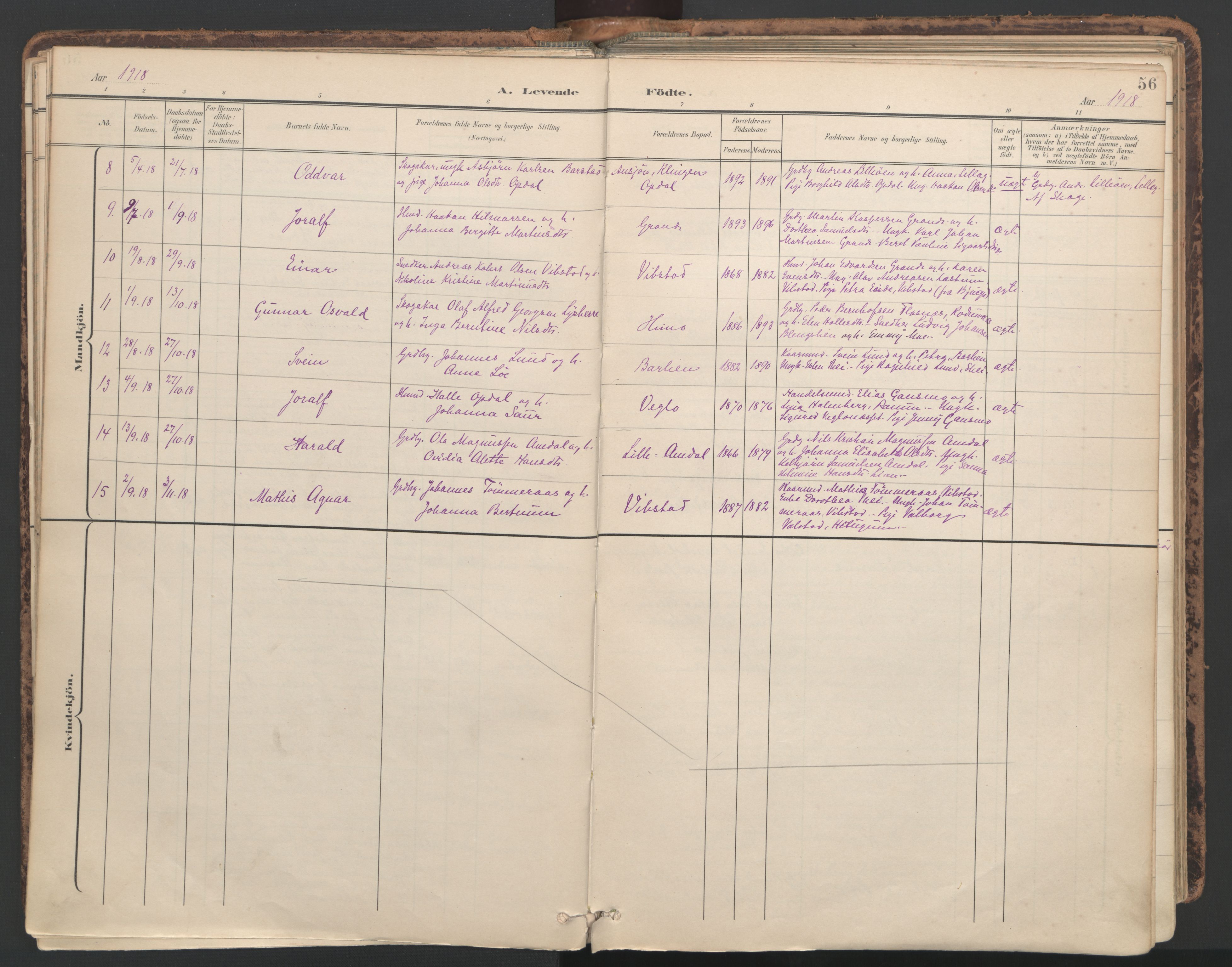 Ministerialprotokoller, klokkerbøker og fødselsregistre - Nord-Trøndelag, SAT/A-1458/764/L0556: Parish register (official) no. 764A11, 1897-1924, p. 56