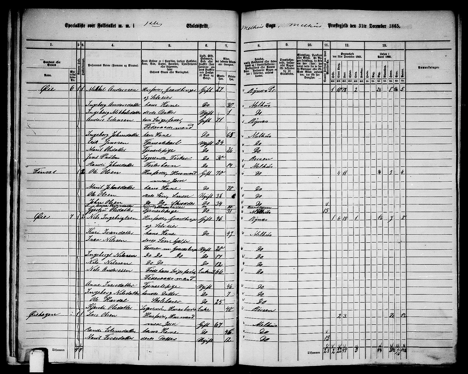 RA, 1865 census for Melhus, 1865, p. 21