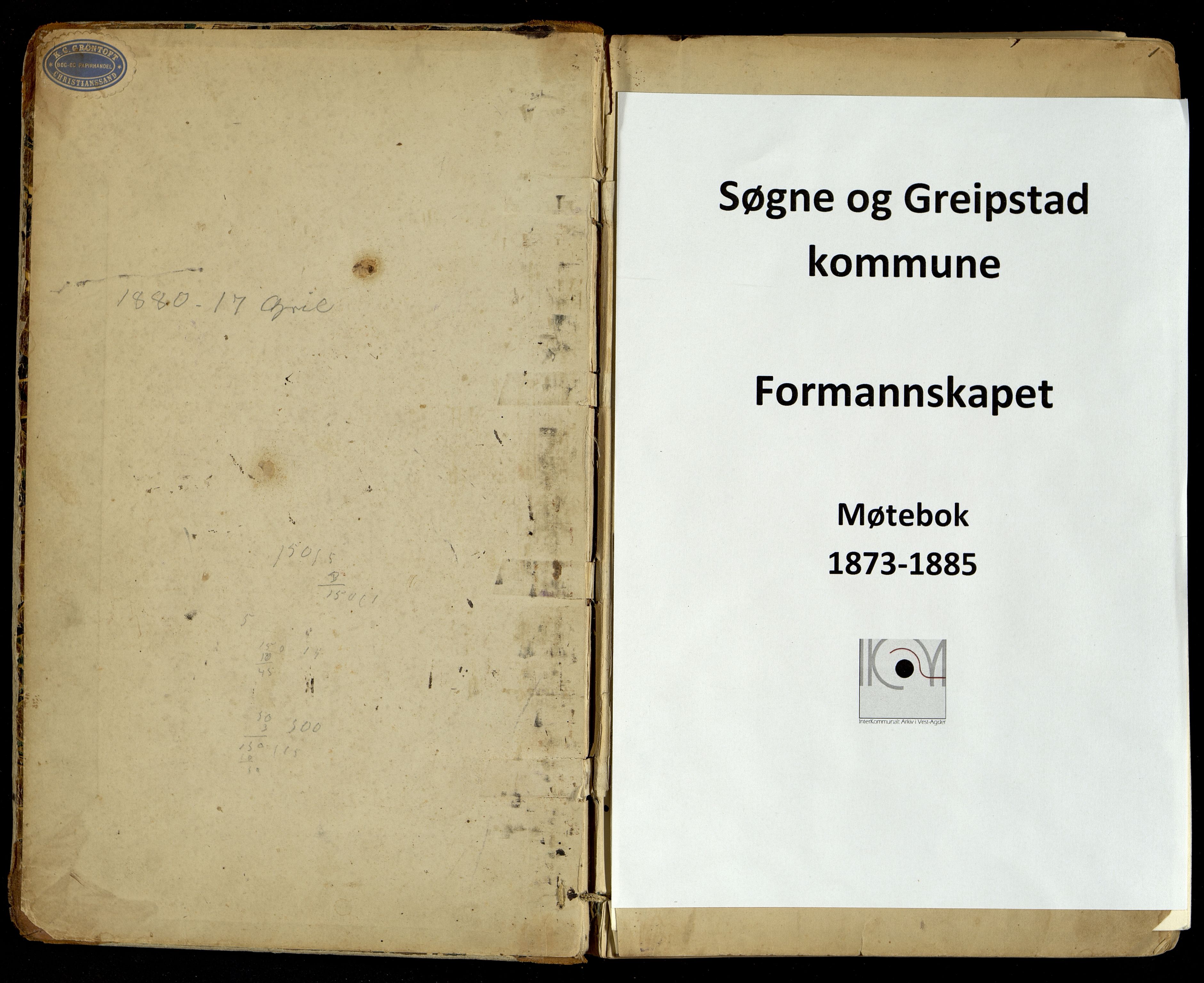 Søgne og Greipstad kommune - Formannskapet, IKAV/1018SG120/A/L0003: Møtebok (d), 1873-1885