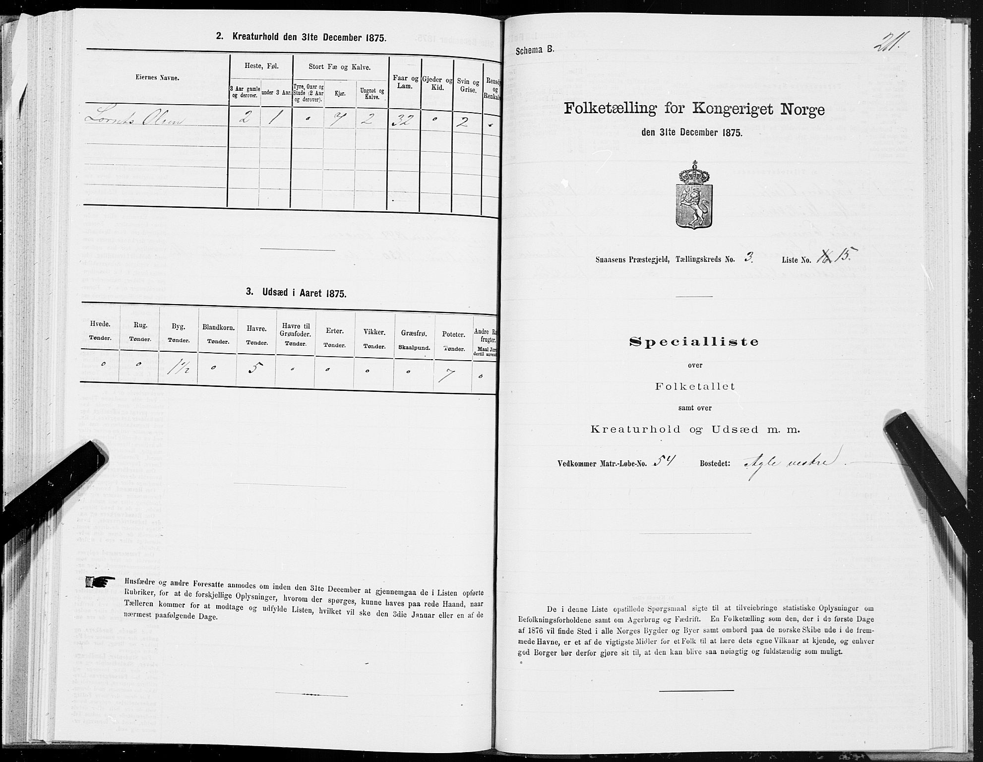 SAT, 1875 census for 1736P Snåsa, 1875, p. 1211