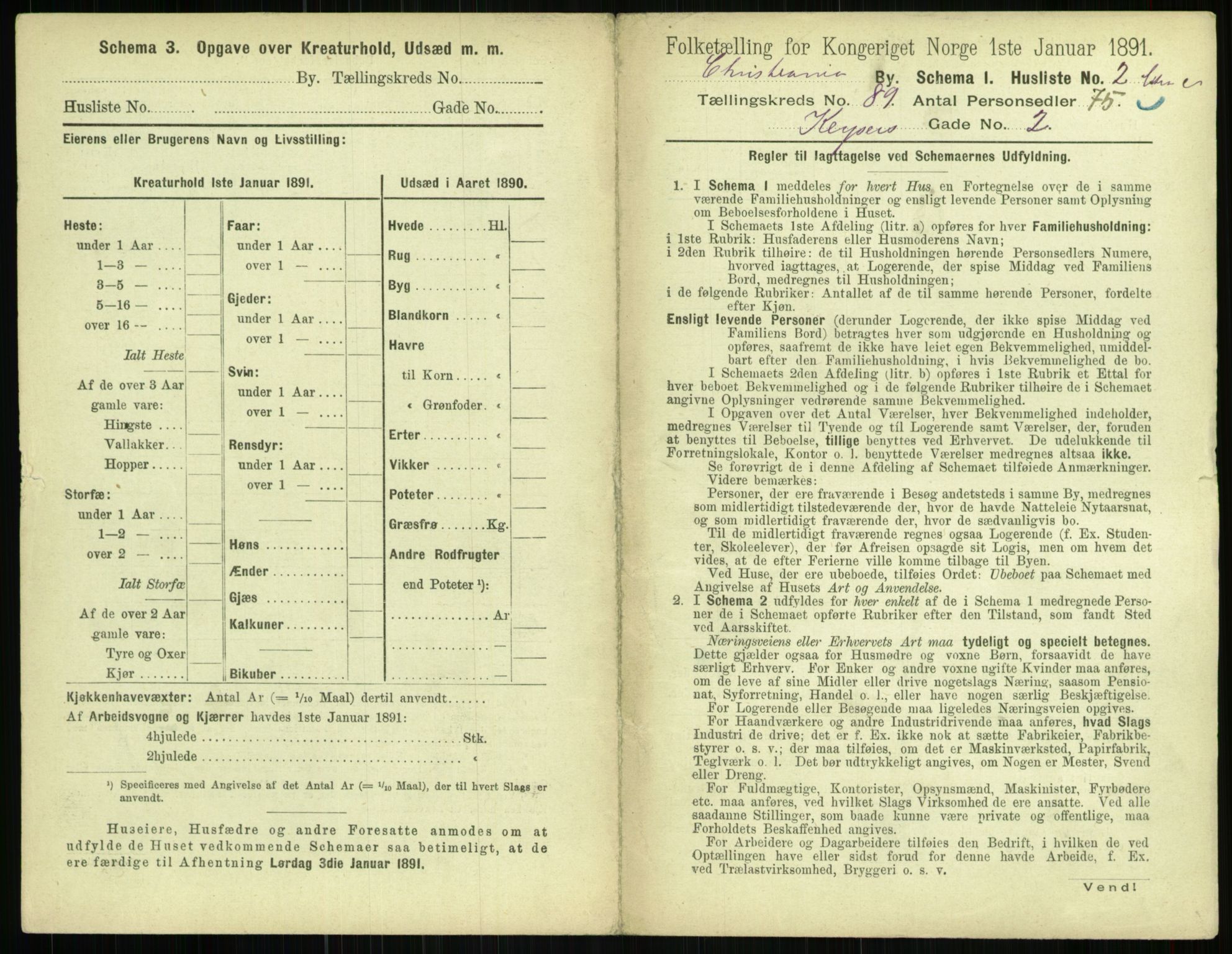 RA, 1891 census for 0301 Kristiania, 1891, p. 43881