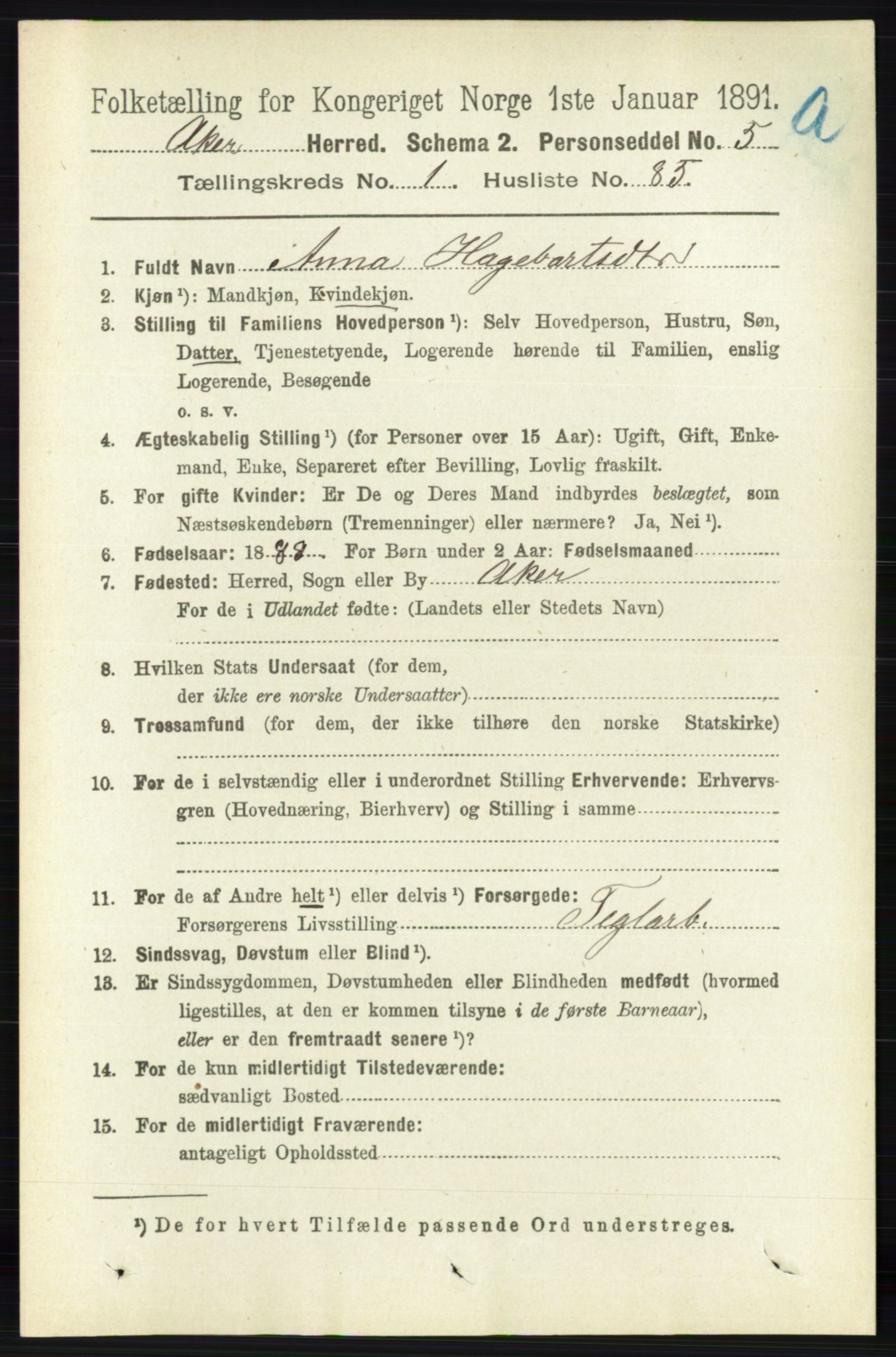 RA, 1891 census for 0218 Aker, 1891, p. 1164