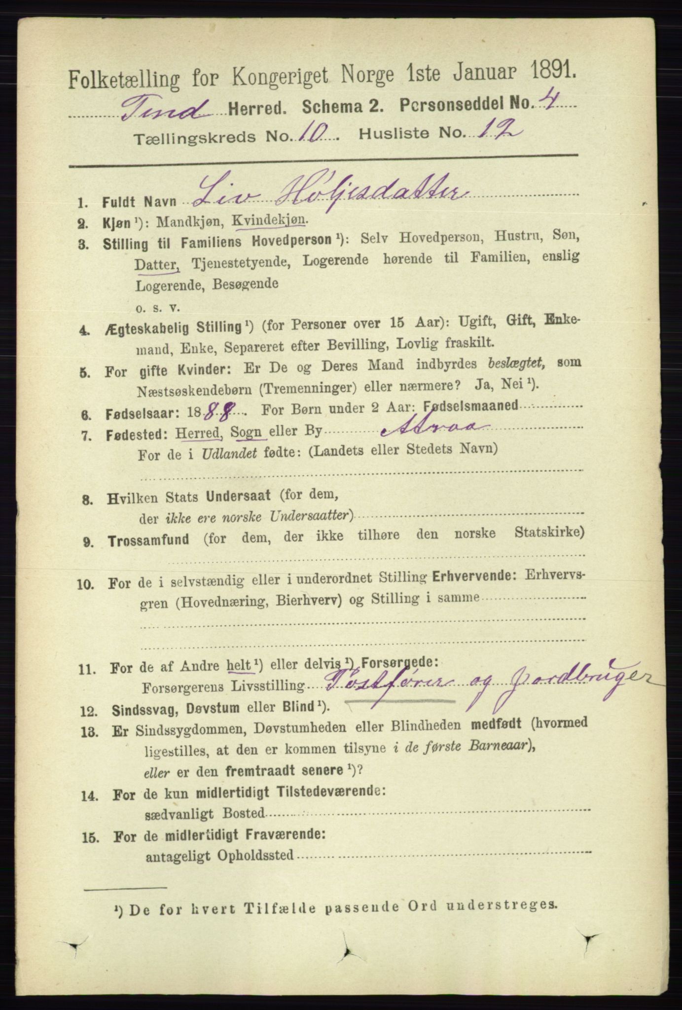 RA, 1891 census for 0826 Tinn, 1891, p. 2031