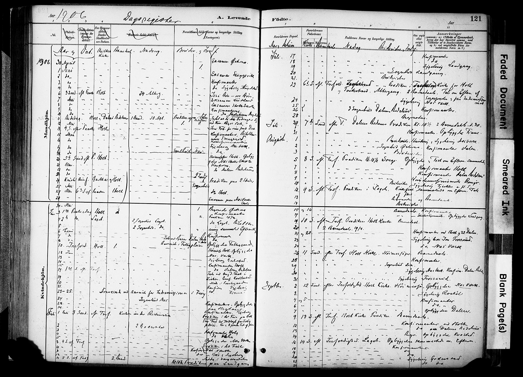 Holt sokneprestkontor, SAK/1111-0021/F/Fa/L0012: Parish register (official) no. A 12, 1885-1907, p. 121