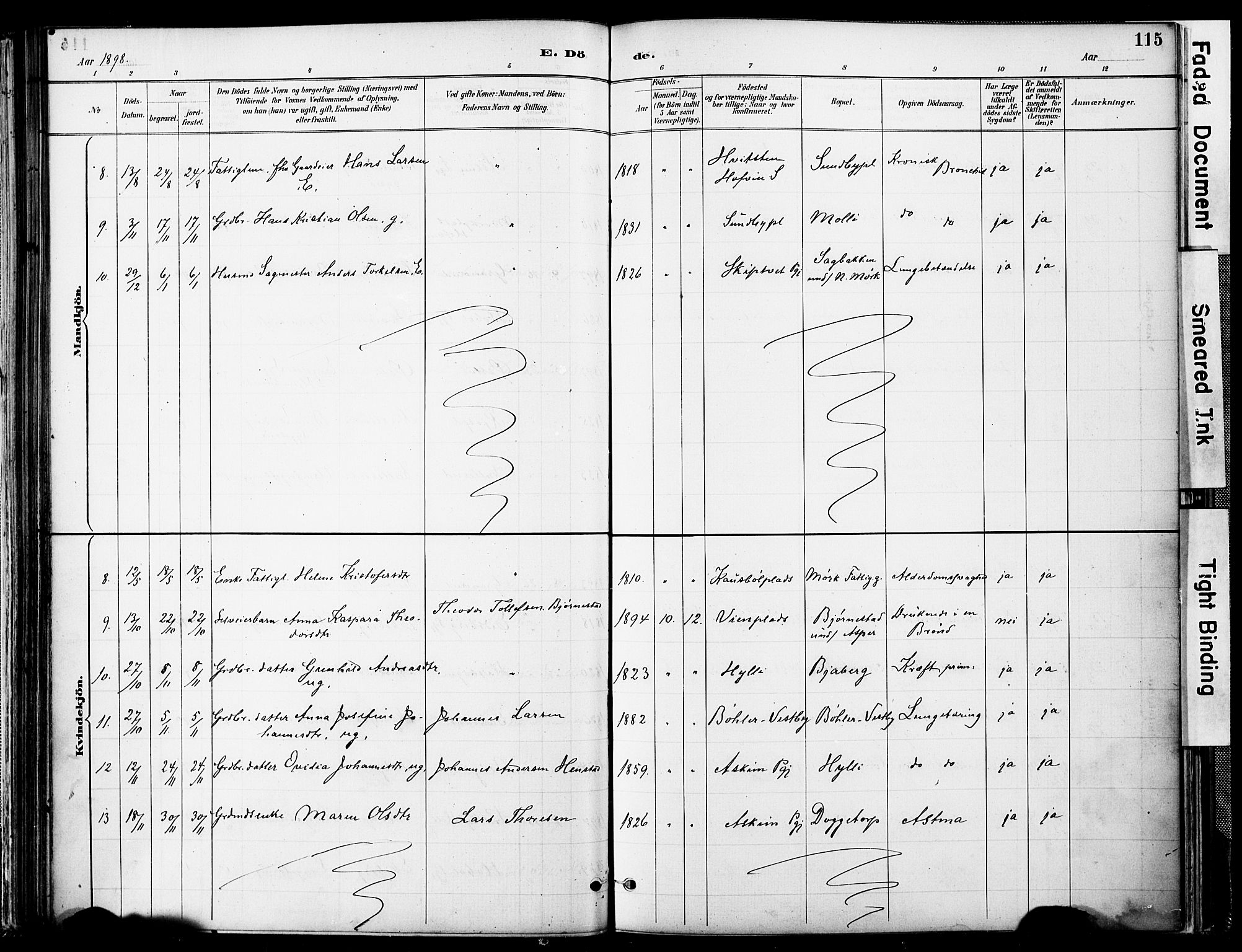 Spydeberg prestekontor Kirkebøker, AV/SAO-A-10924/F/Fa/L0008: Parish register (official) no. I 8, 1886-1900, p. 115