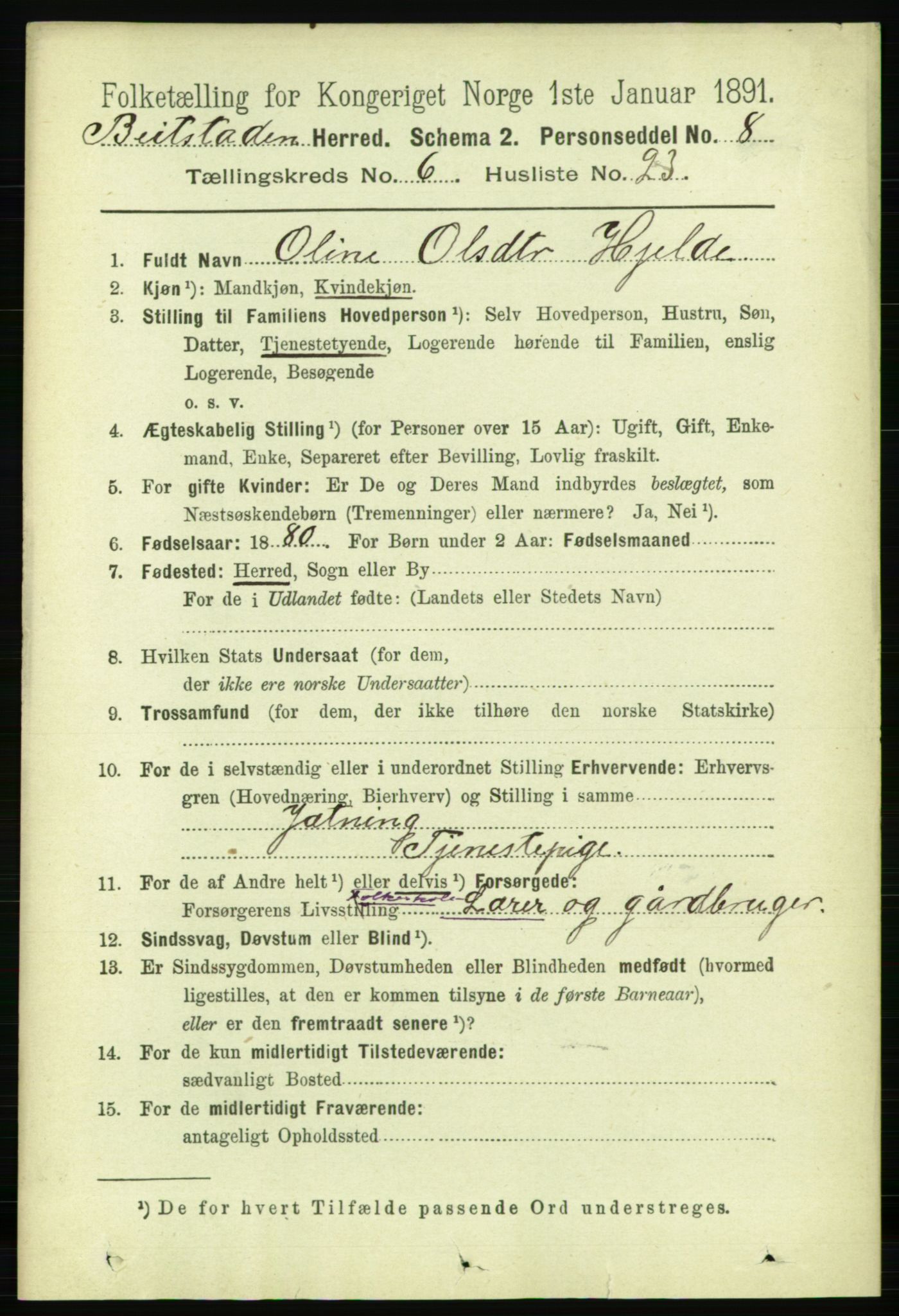 RA, 1891 census for 1727 Beitstad, 1891, p. 1668