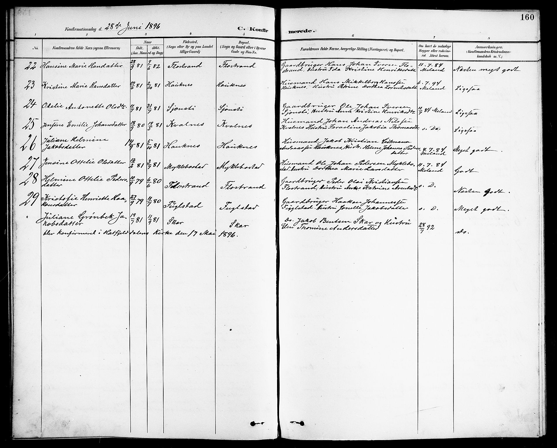 Ministerialprotokoller, klokkerbøker og fødselsregistre - Nordland, SAT/A-1459/838/L0559: Parish register (copy) no. 838C06, 1893-1910, p. 160