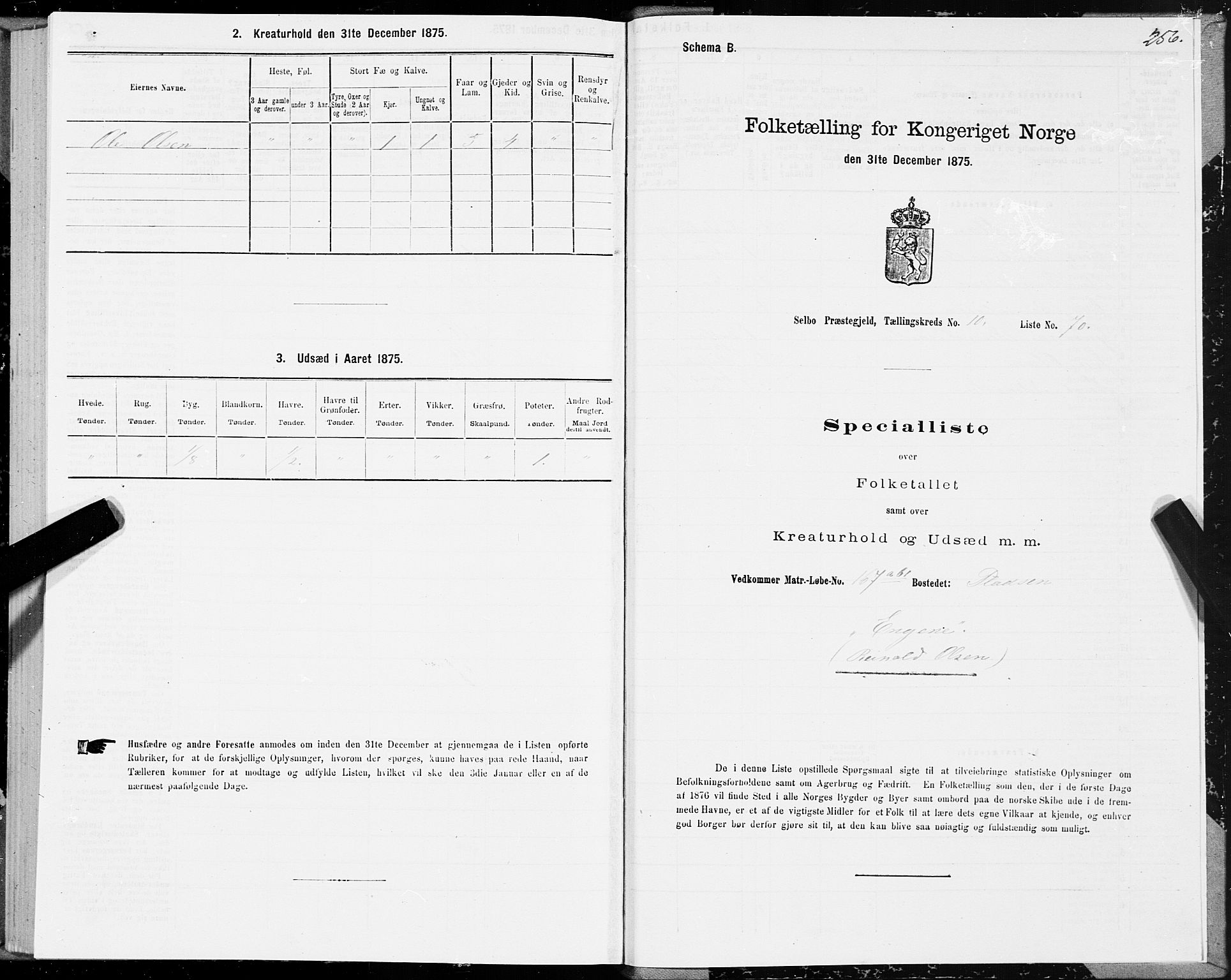 SAT, 1875 census for 1664P Selbu, 1875, p. 5256