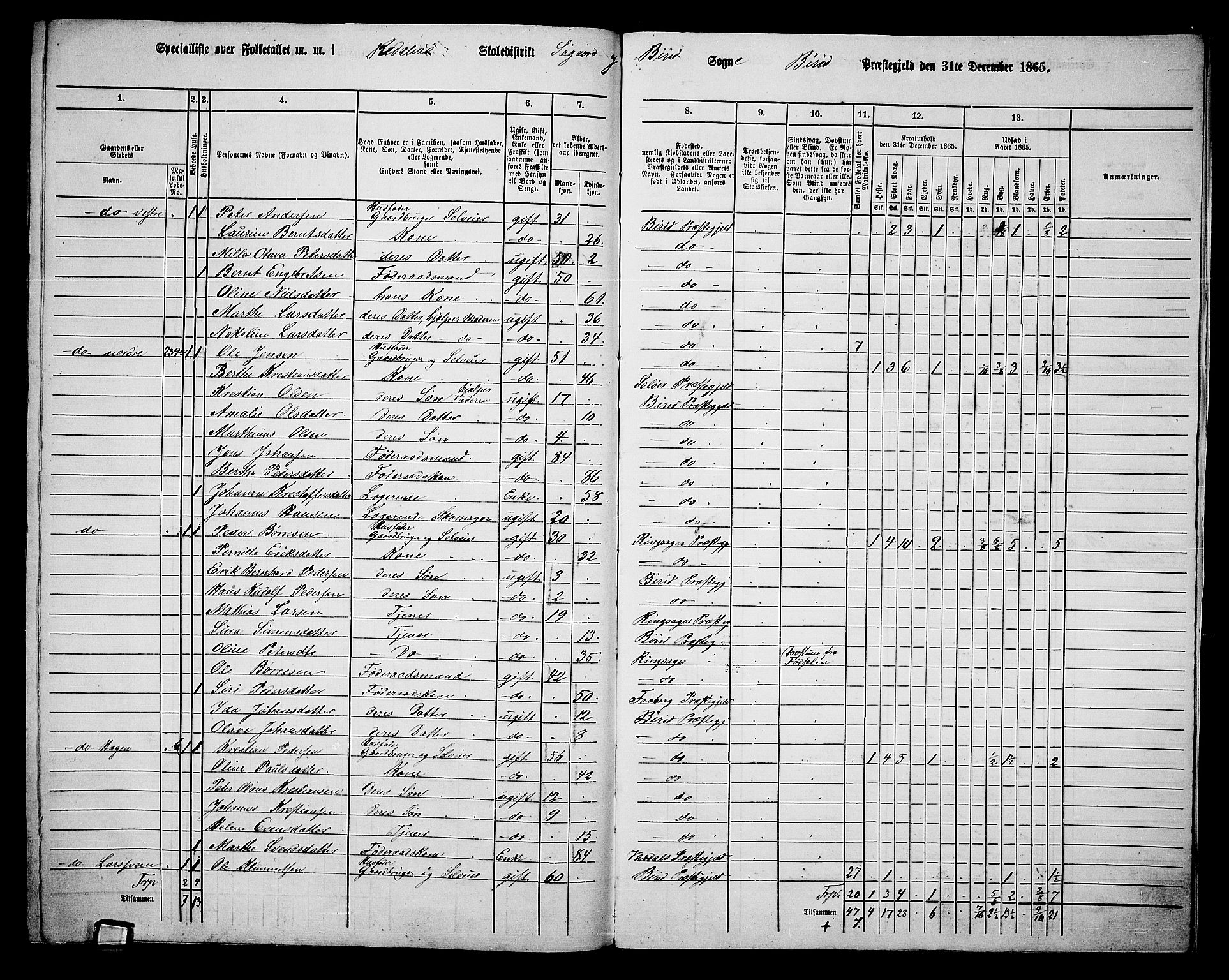 RA, 1865 census for Biri, 1865, p. 213