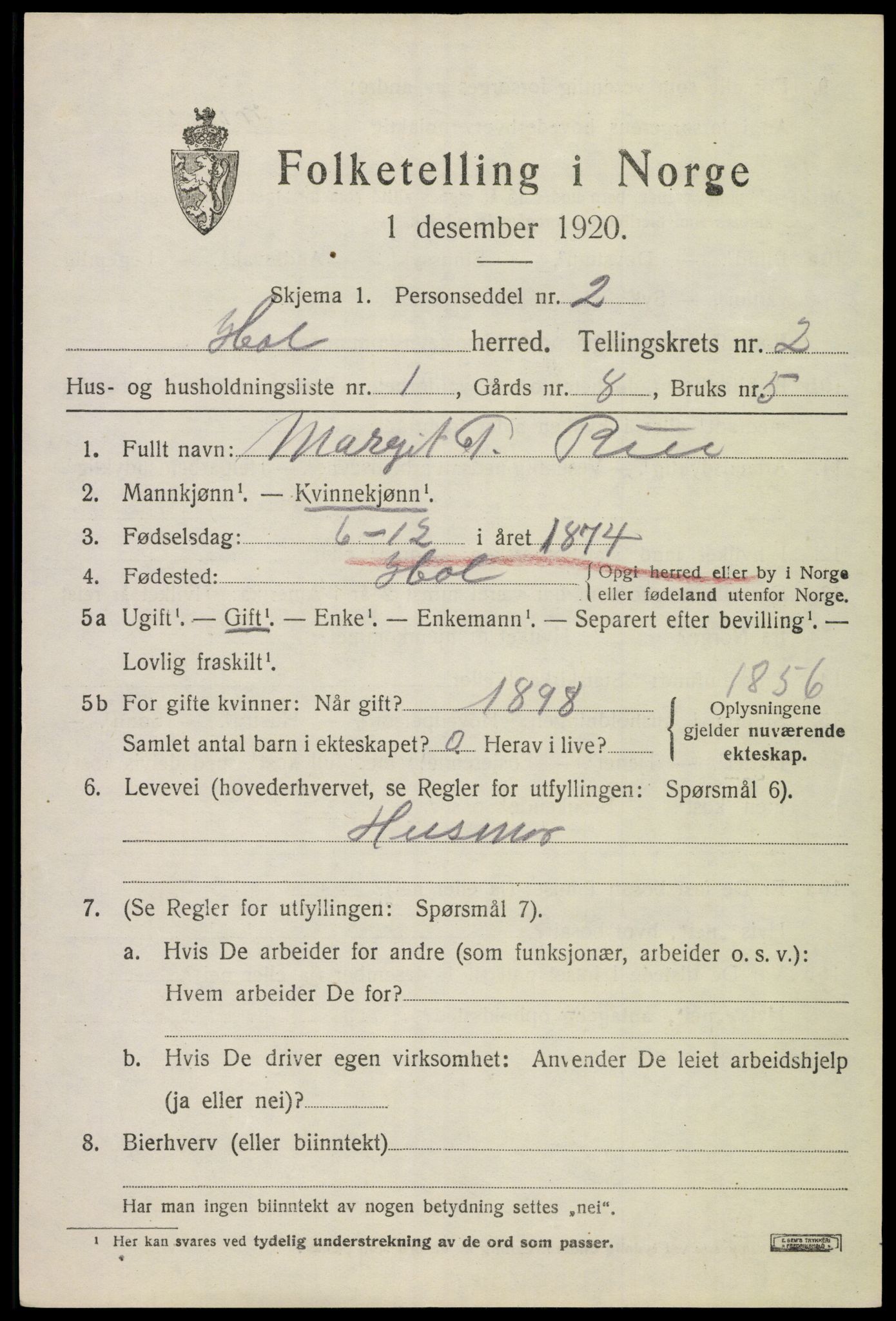 SAKO, 1920 census for Hol (Buskerud), 1920, p. 1197