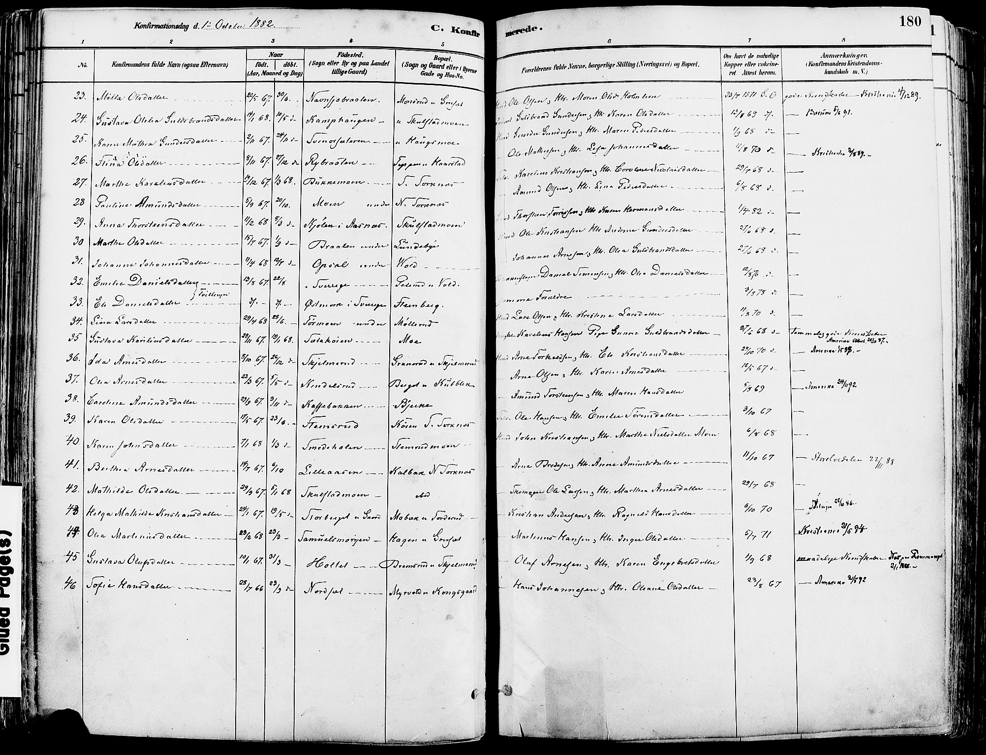 Grue prestekontor, AV/SAH-PREST-036/H/Ha/Haa/L0012: Parish register (official) no. 12, 1881-1897, p. 180