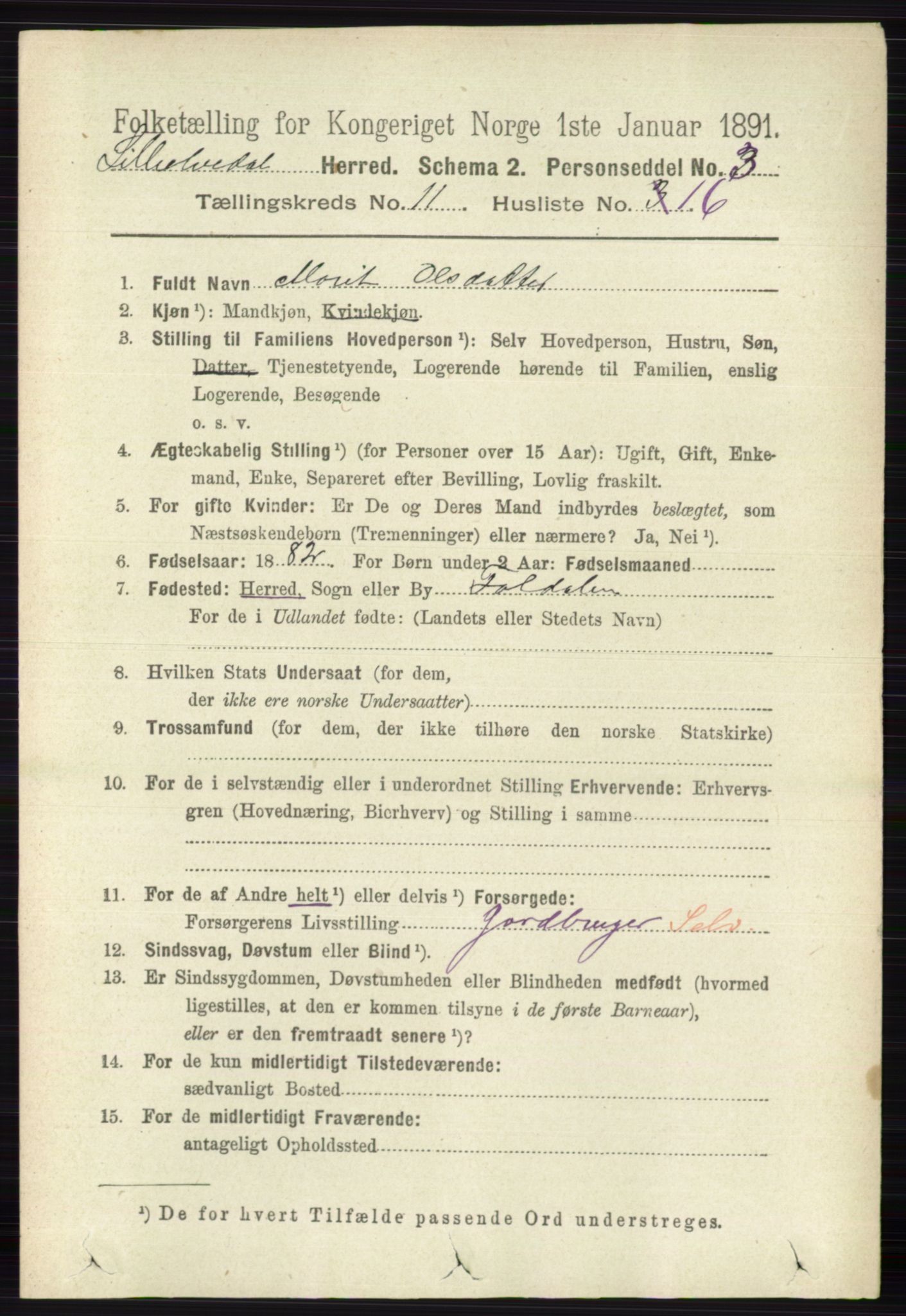 RA, 1891 census for 0438 Lille Elvedalen, 1891, p. 3900