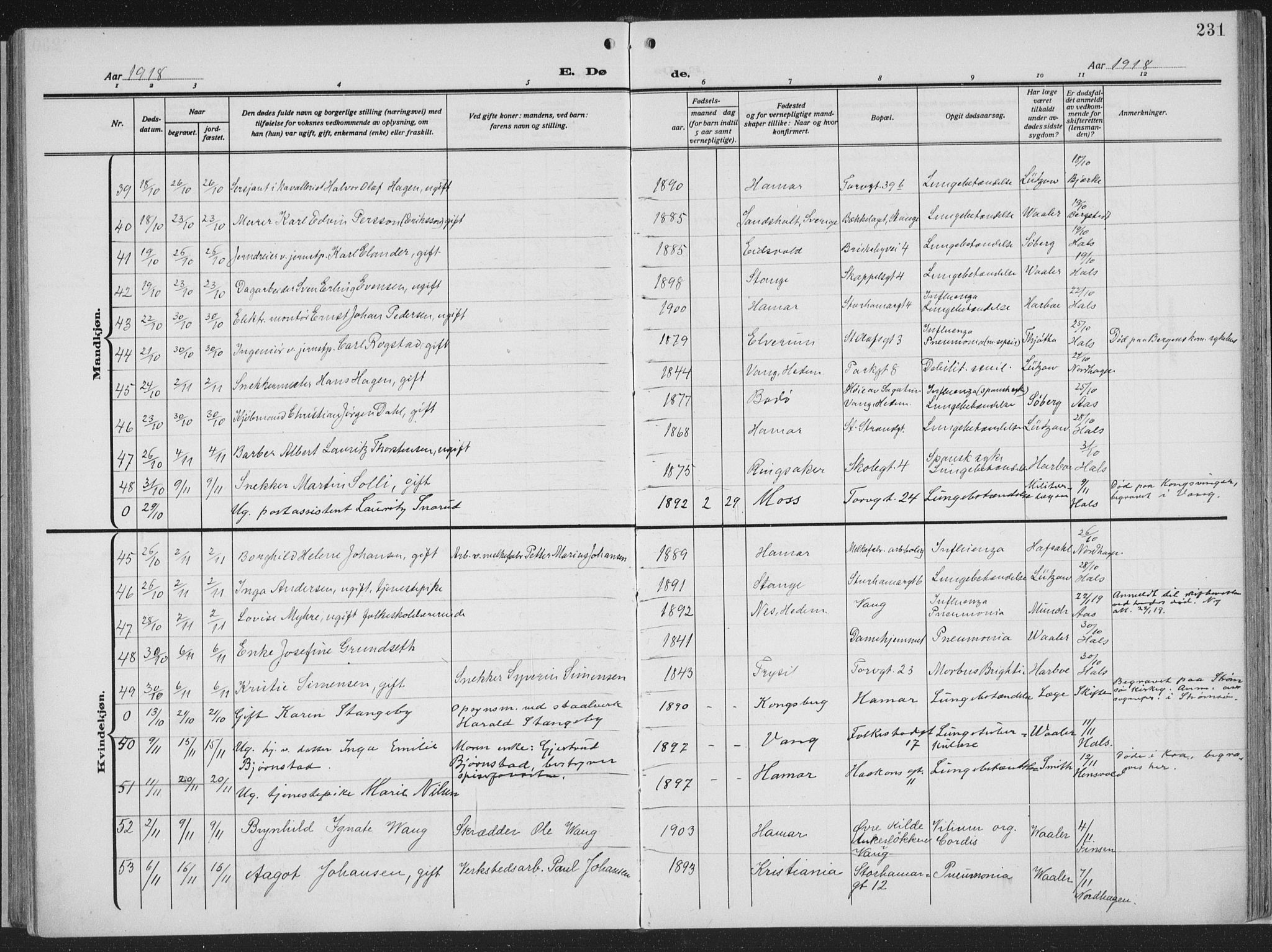 Hamar prestekontor, SAH/DOMPH-002/H/Ha/Haa/L0002: Parish register (official) no. 2, 1915-1936, p. 231