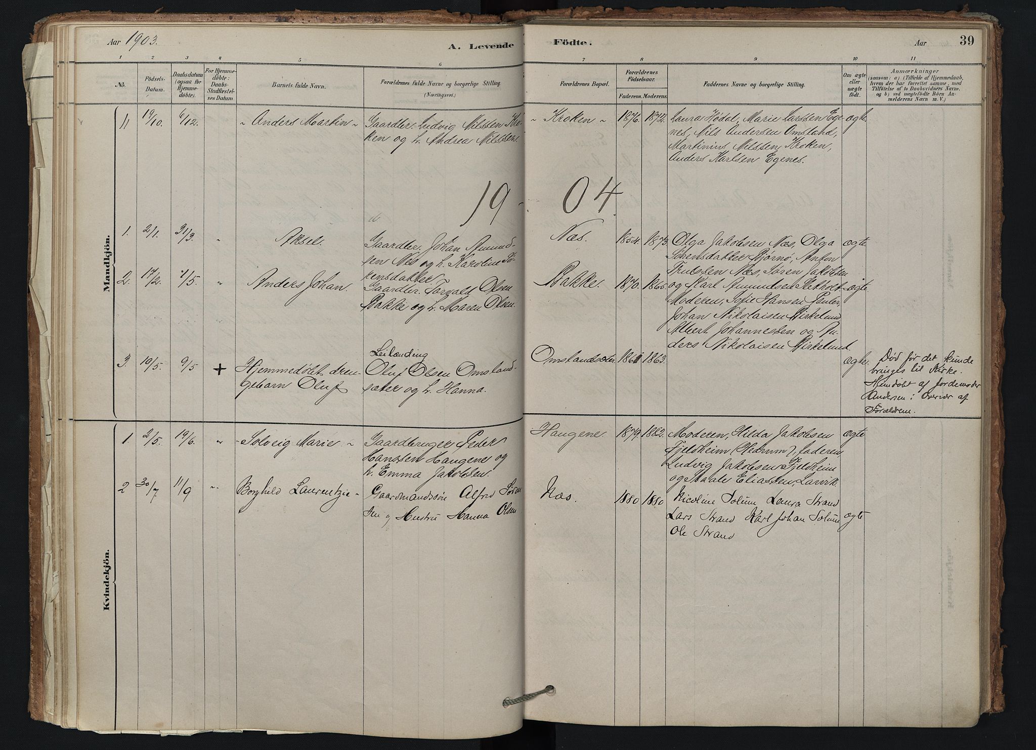 Brunlanes kirkebøker, AV/SAKO-A-342/F/Fd/L0001: Parish register (official) no. IV 1, 1878-1917, p. 39