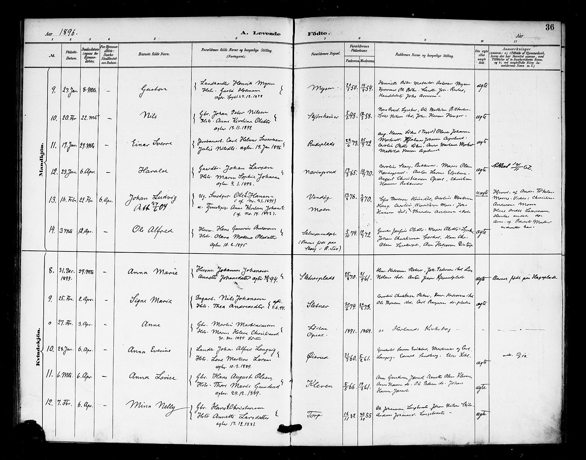 Eidsberg prestekontor Kirkebøker, AV/SAO-A-10905/F/Fa/L0013: Parish register (official) no. I 13, 1890-1901, p. 36