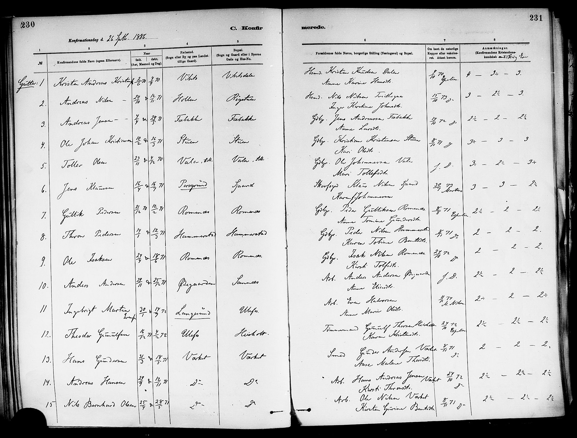Holla kirkebøker, SAKO/A-272/F/Fa/L0008: Parish register (official) no. 8, 1882-1897, p. 230