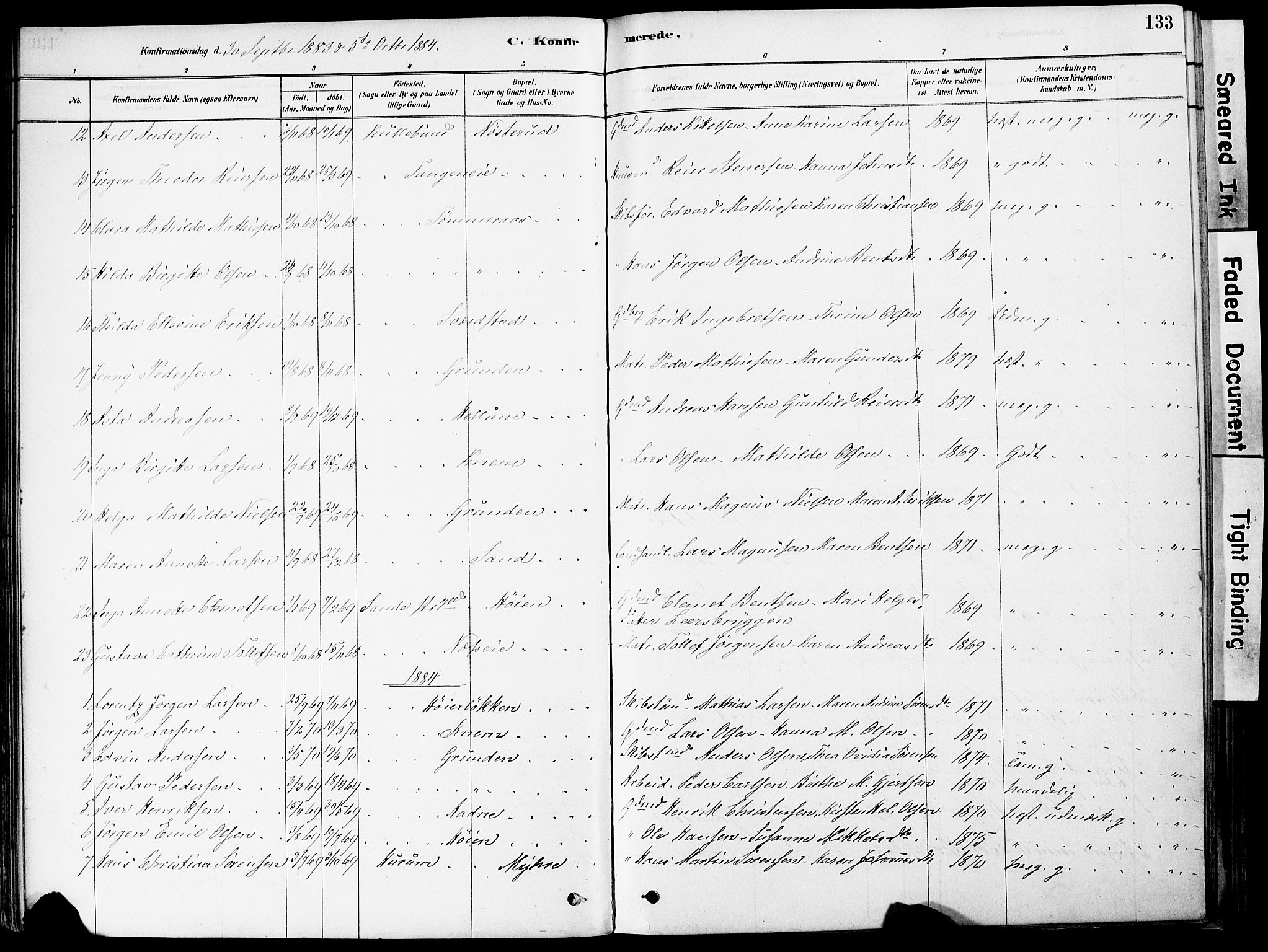 Strømm kirkebøker, AV/SAKO-A-322/F/Fa/L0004: Parish register (official) no. I 4, 1878-1899, p. 133