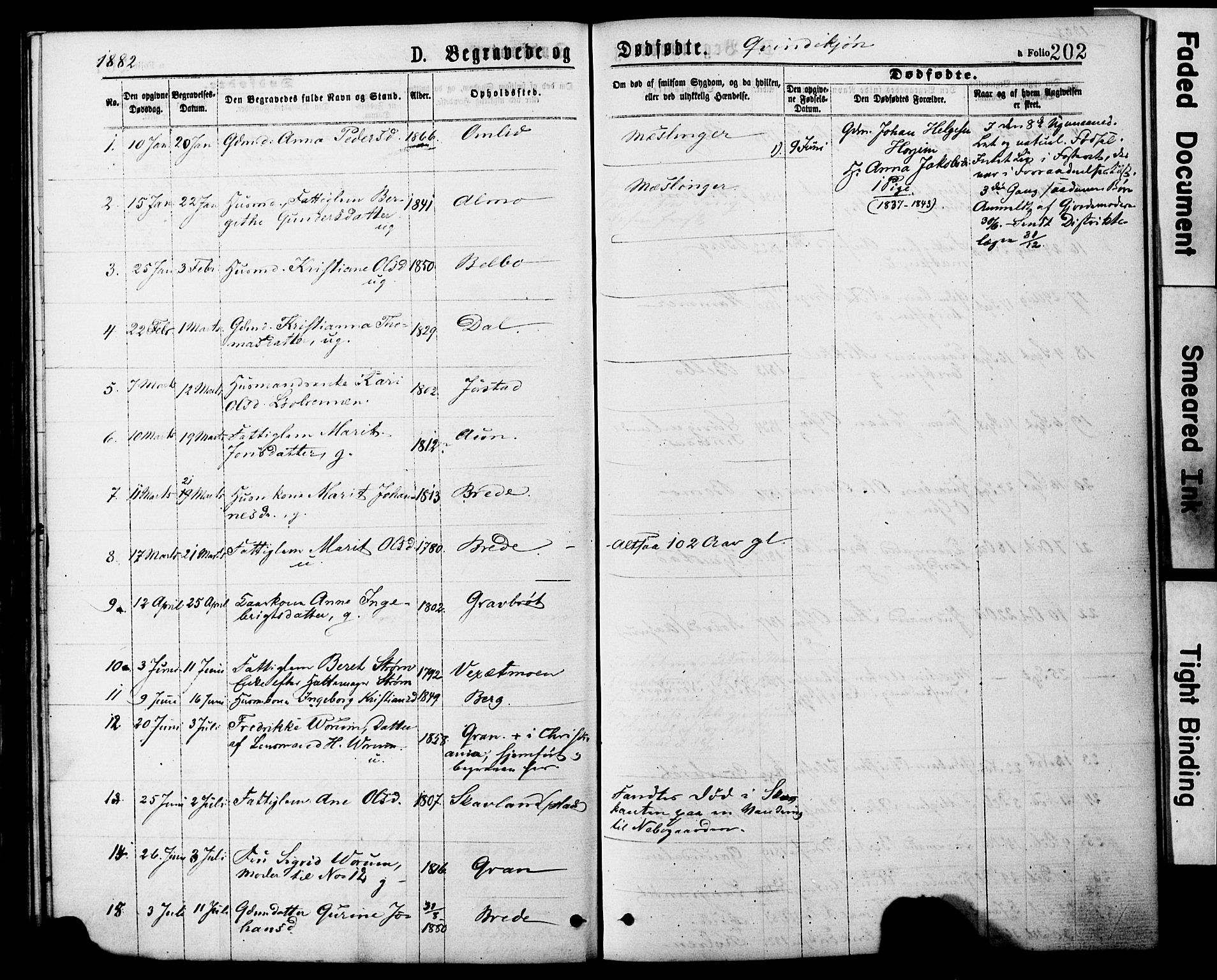 Ministerialprotokoller, klokkerbøker og fødselsregistre - Nord-Trøndelag, AV/SAT-A-1458/749/L0473: Parish register (official) no. 749A07, 1873-1887, p. 202