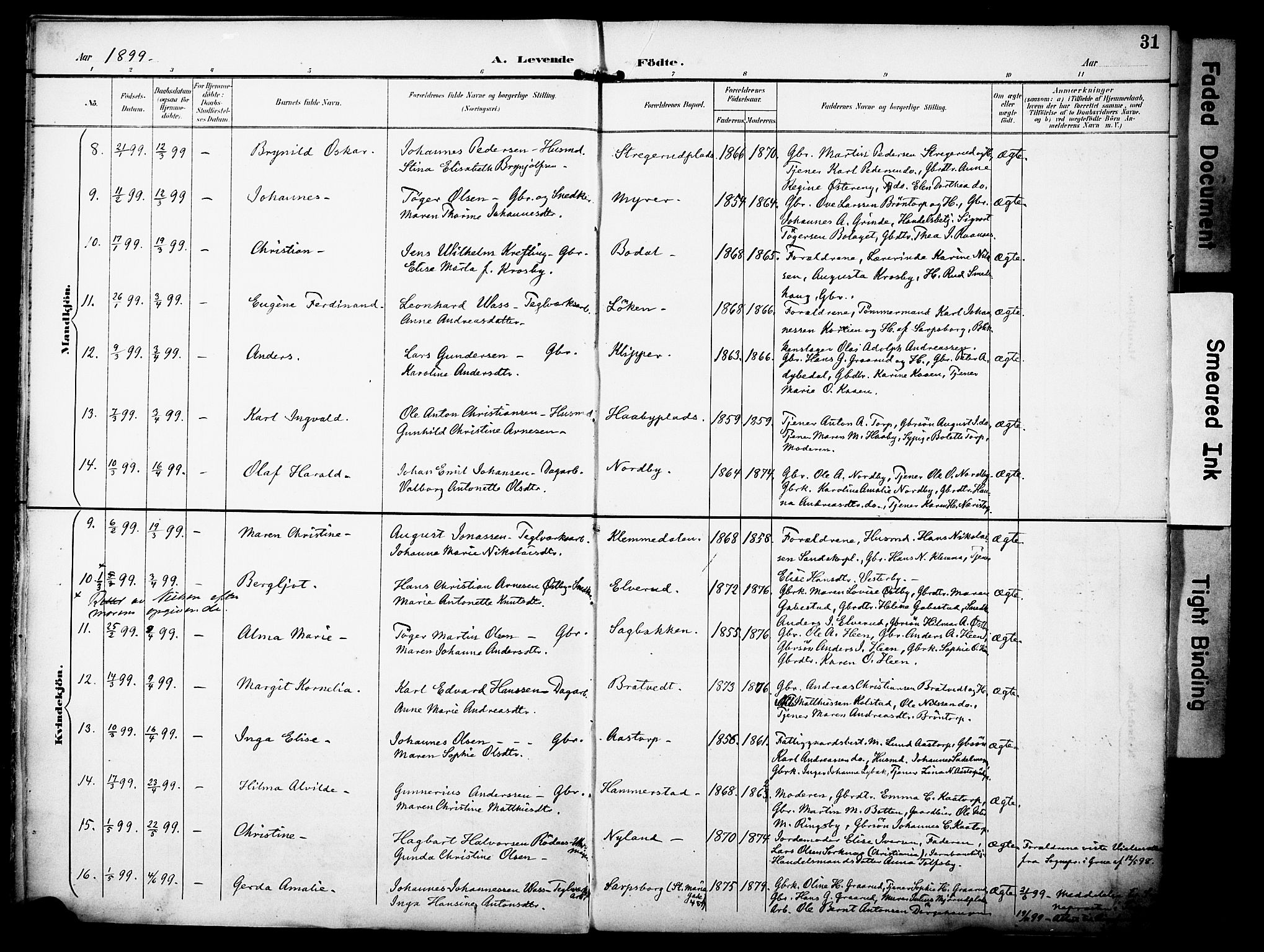 Rakkestad prestekontor Kirkebøker, AV/SAO-A-2008/F/Fa/L0013: Parish register (official) no. I 13, 1894-1908, p. 31