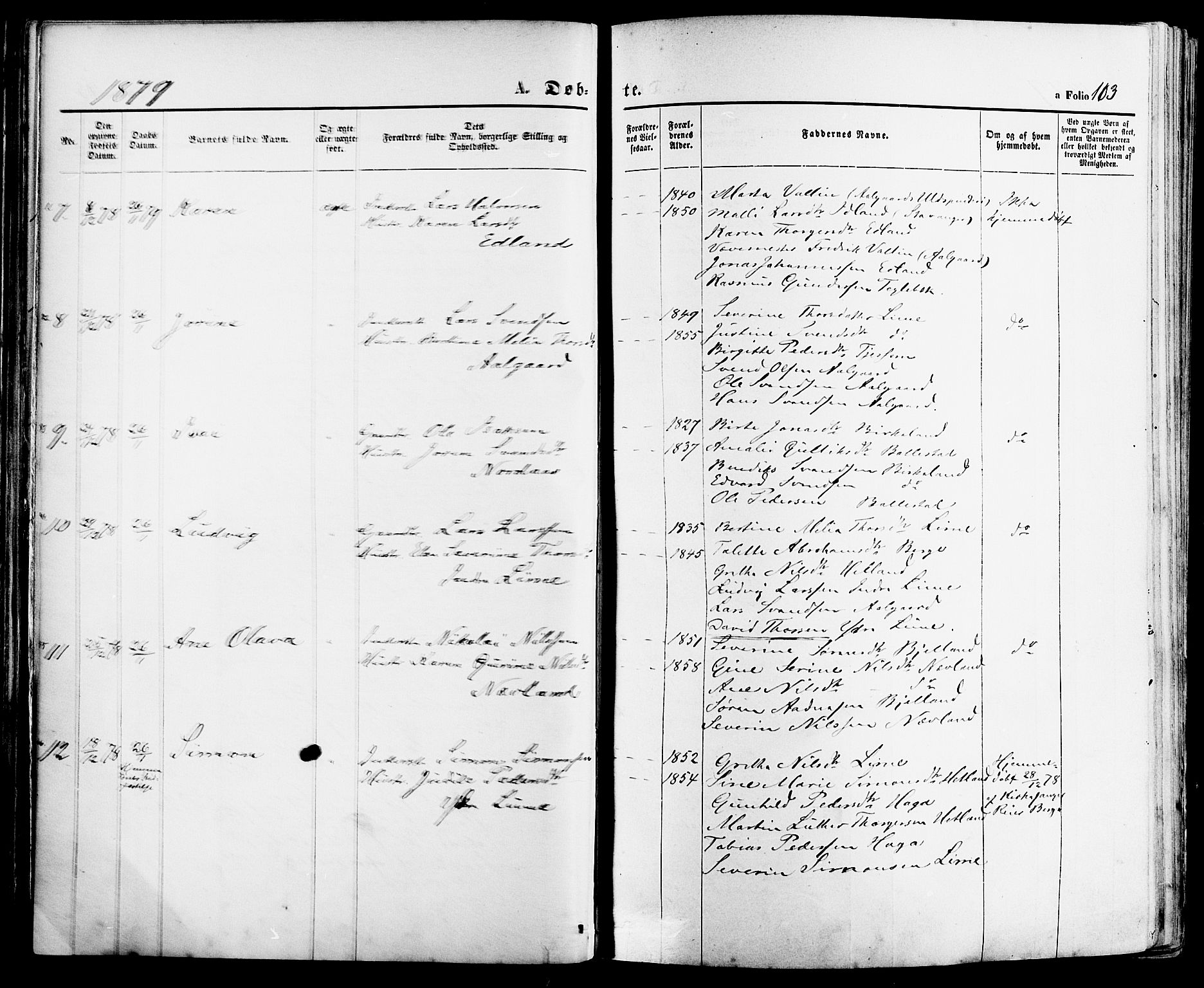 Lye sokneprestkontor, AV/SAST-A-101794/001/30BA/L0008: Parish register (official) no. A 7, 1872-1881, p. 113