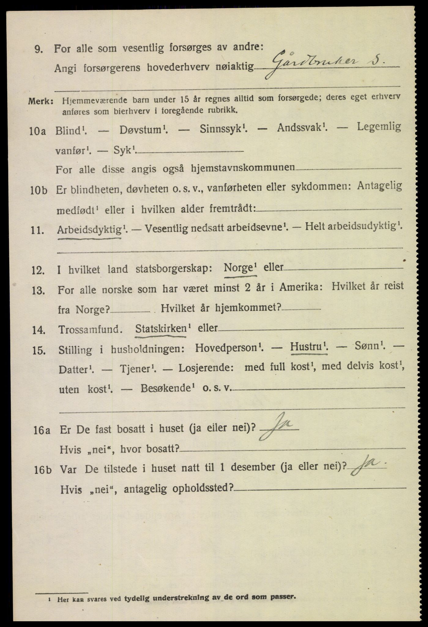 SAH, 1920 census for Lom, 1920, p. 2593