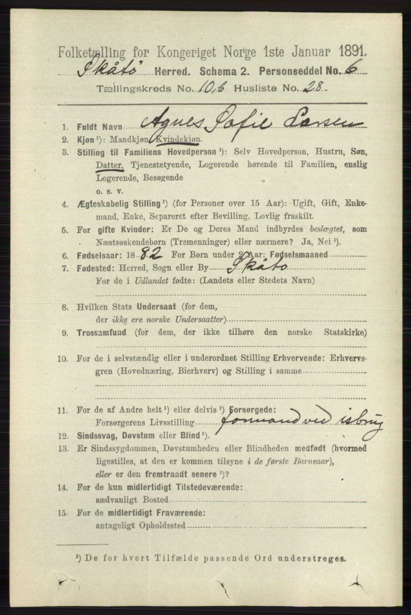 RA, 1891 census for 0815 Skåtøy, 1891, p. 4212