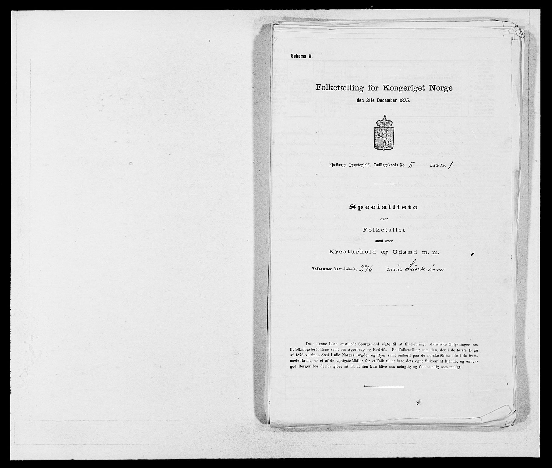 SAB, 1875 census for 1213P Fjelberg, 1875, p. 493