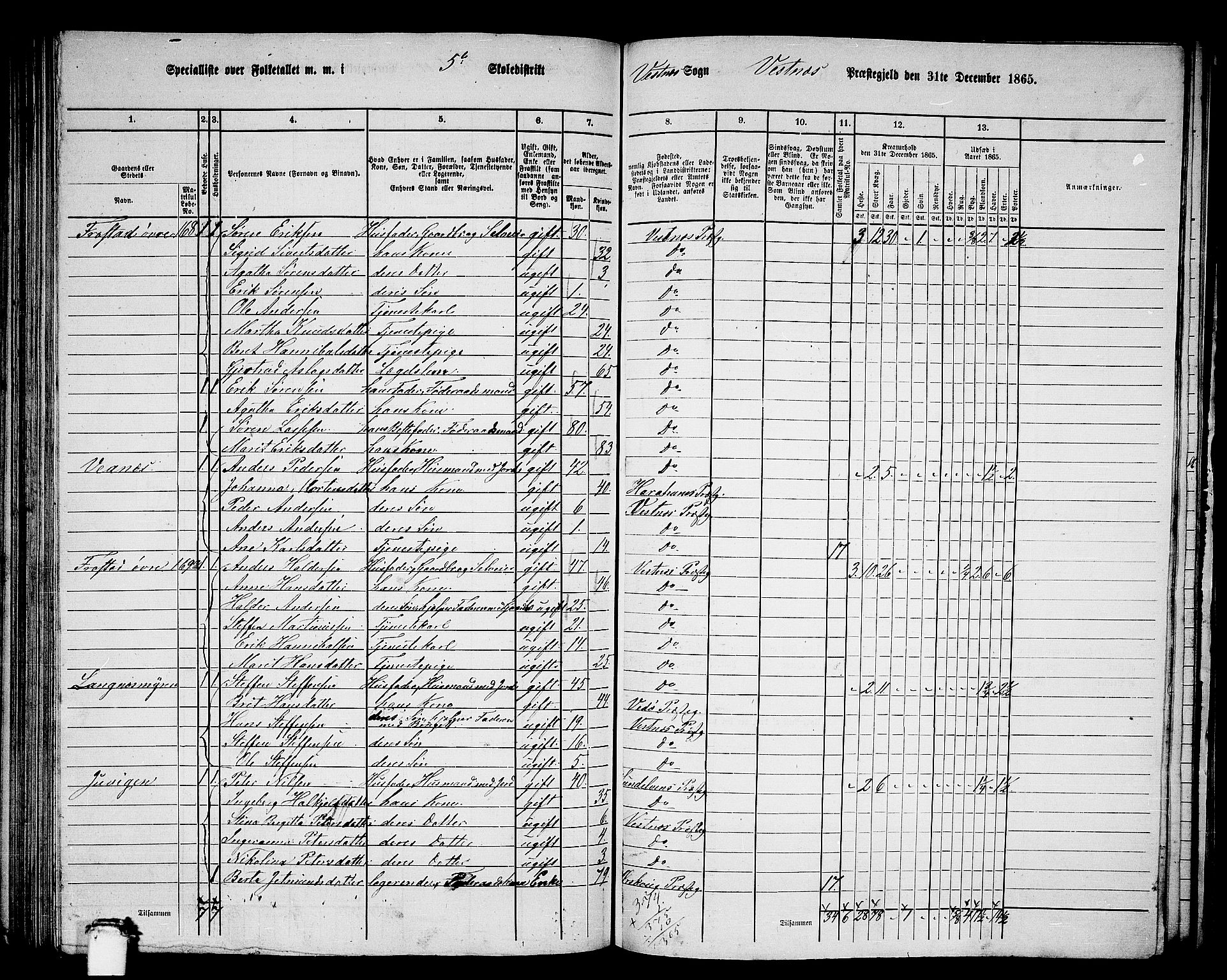 RA, 1865 census for Vestnes, 1865, p. 113