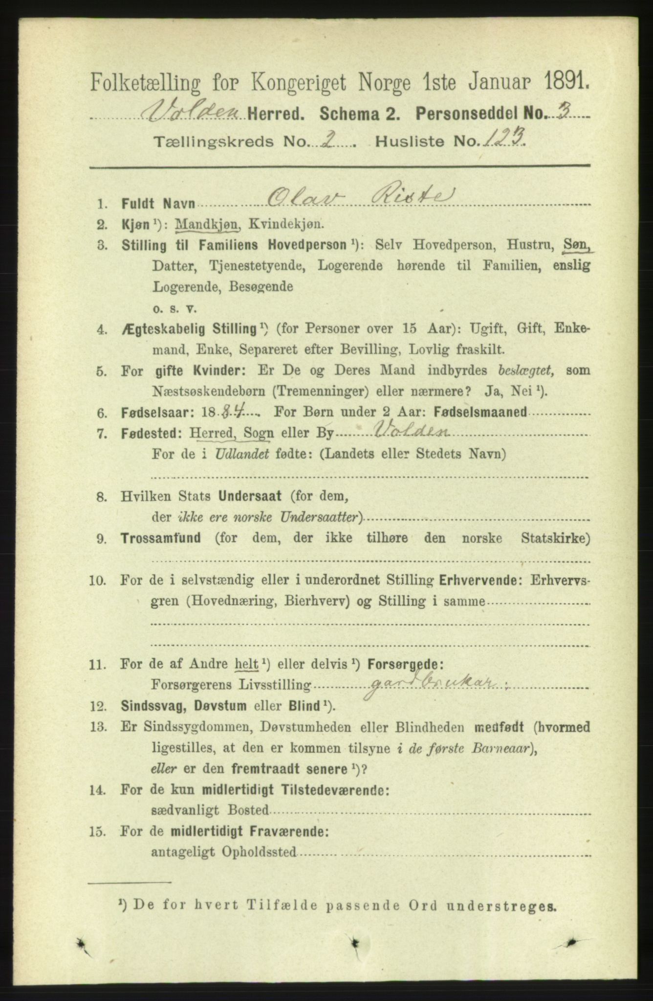 RA, 1891 census for 1519 Volda, 1891, p. 1515