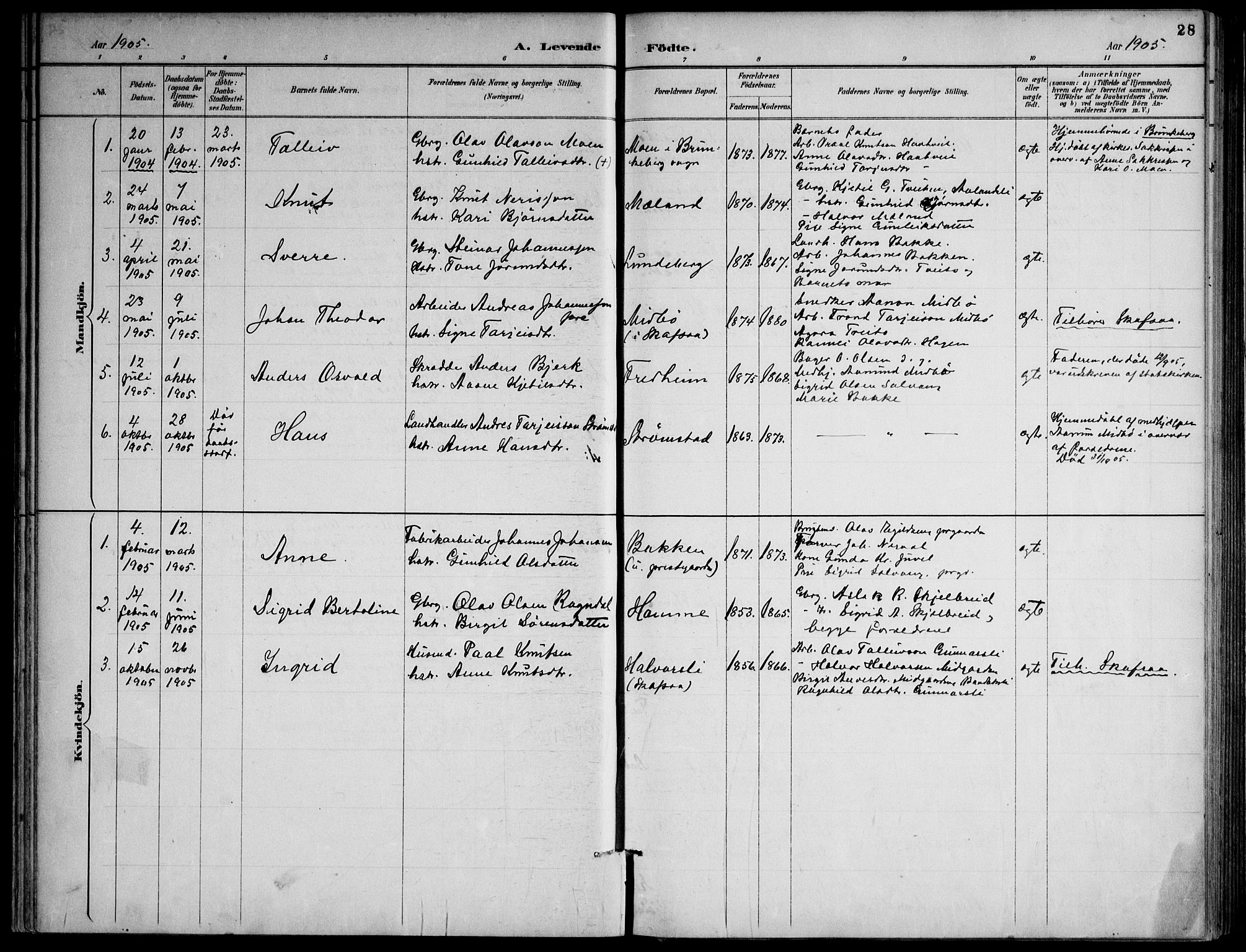 Lårdal kirkebøker, SAKO/A-284/F/Fa/L0007: Parish register (official) no. I 7, 1887-1906, p. 28
