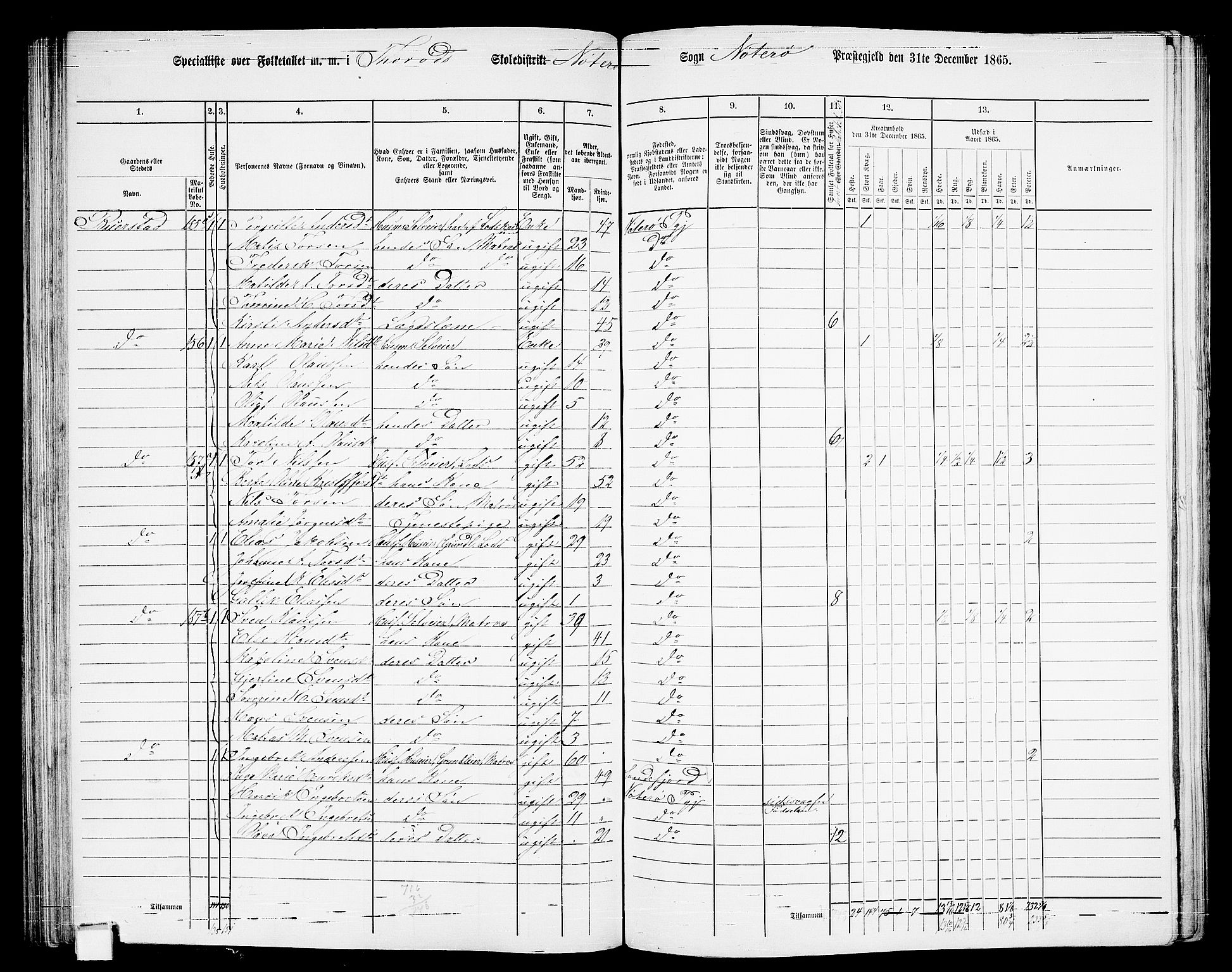 RA, 1865 census for Nøtterøy, 1865, p. 116