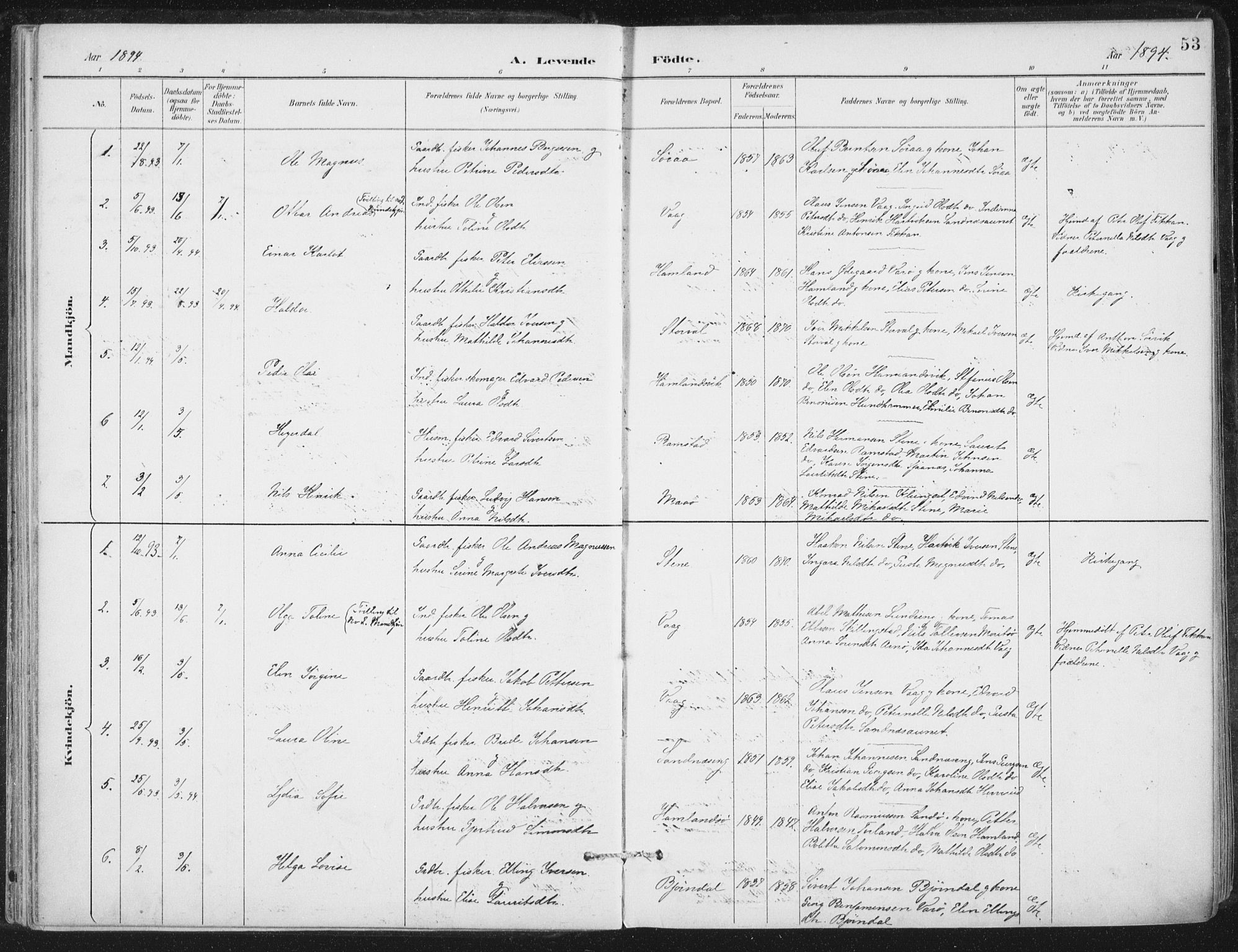 Ministerialprotokoller, klokkerbøker og fødselsregistre - Nord-Trøndelag, SAT/A-1458/784/L0673: Parish register (official) no. 784A08, 1888-1899, p. 53