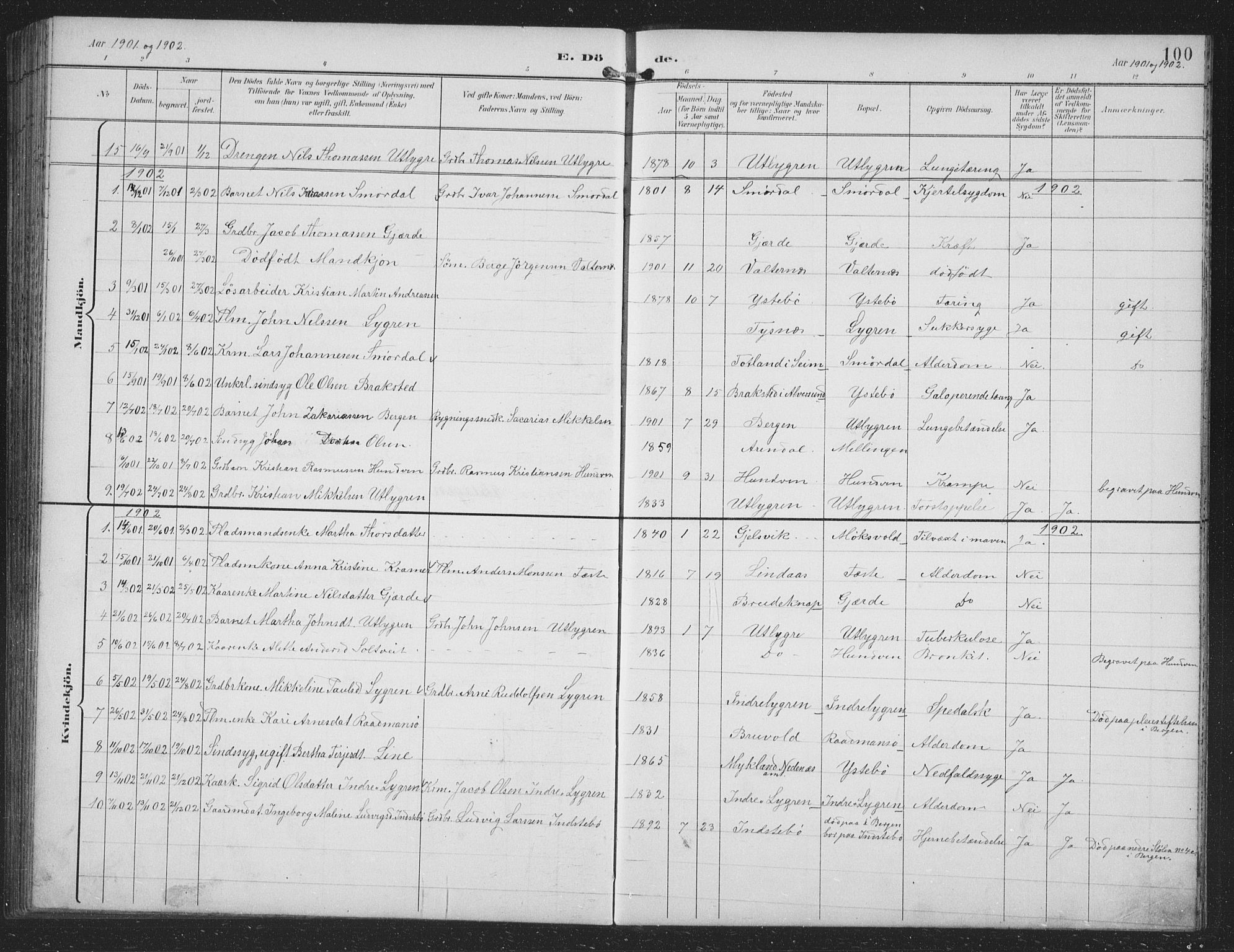 Alversund Sokneprestembete, SAB/A-73901/H/Ha/Hab: Parish register (copy) no. B 4, 1897-1914, p. 100