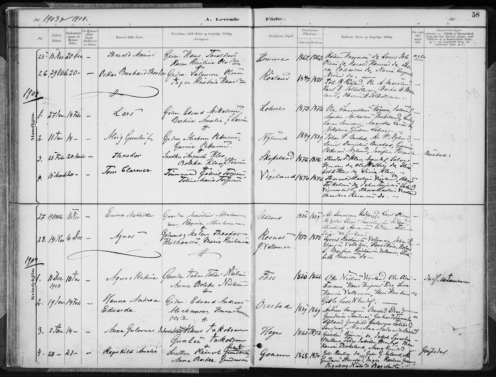 Sør-Audnedal sokneprestkontor, AV/SAK-1111-0039/F/Fa/Fab/L0010: Parish register (official) no. A 10, 1892-1913, p. 58