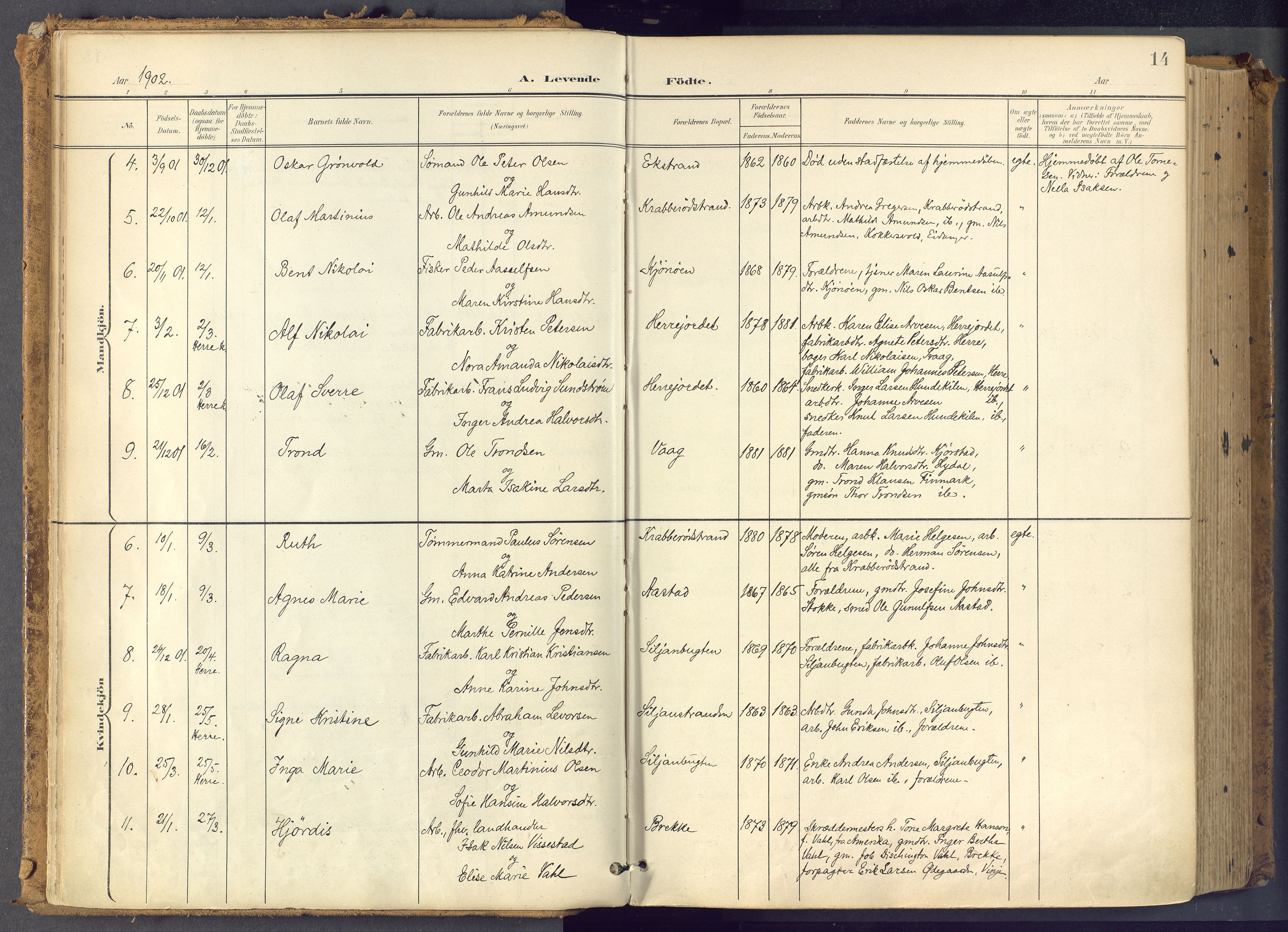 Bamble kirkebøker, SAKO/A-253/F/Fa/L0009: Parish register (official) no. I 9, 1901-1917, p. 14