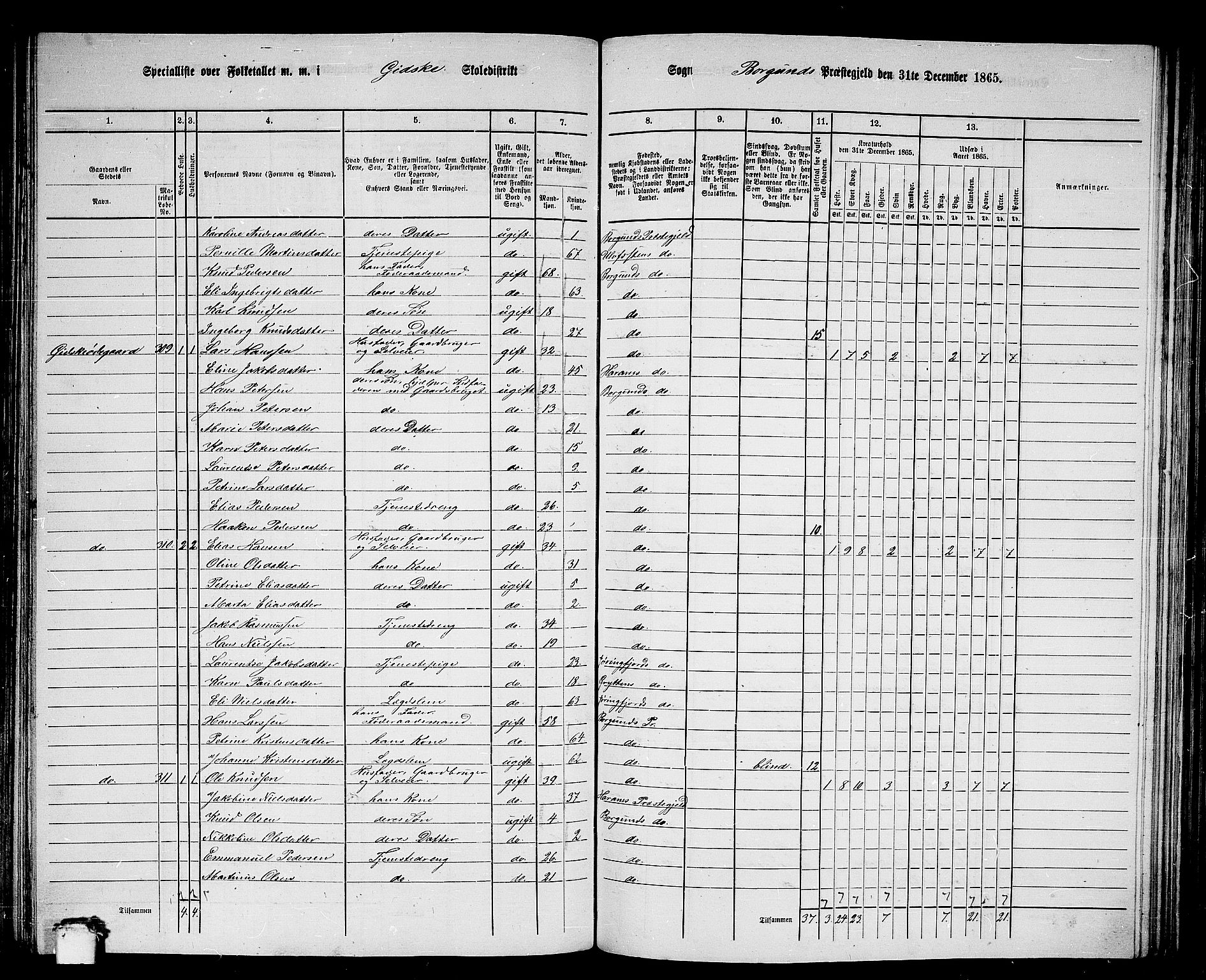 RA, 1865 census for Borgund, 1865, p. 136