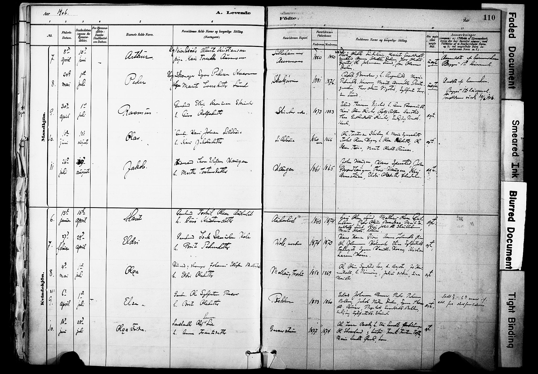 Skjåk prestekontor, AV/SAH-PREST-072/H/Ha/Haa/L0003: Parish register (official) no. 3, 1880-1907, p. 110