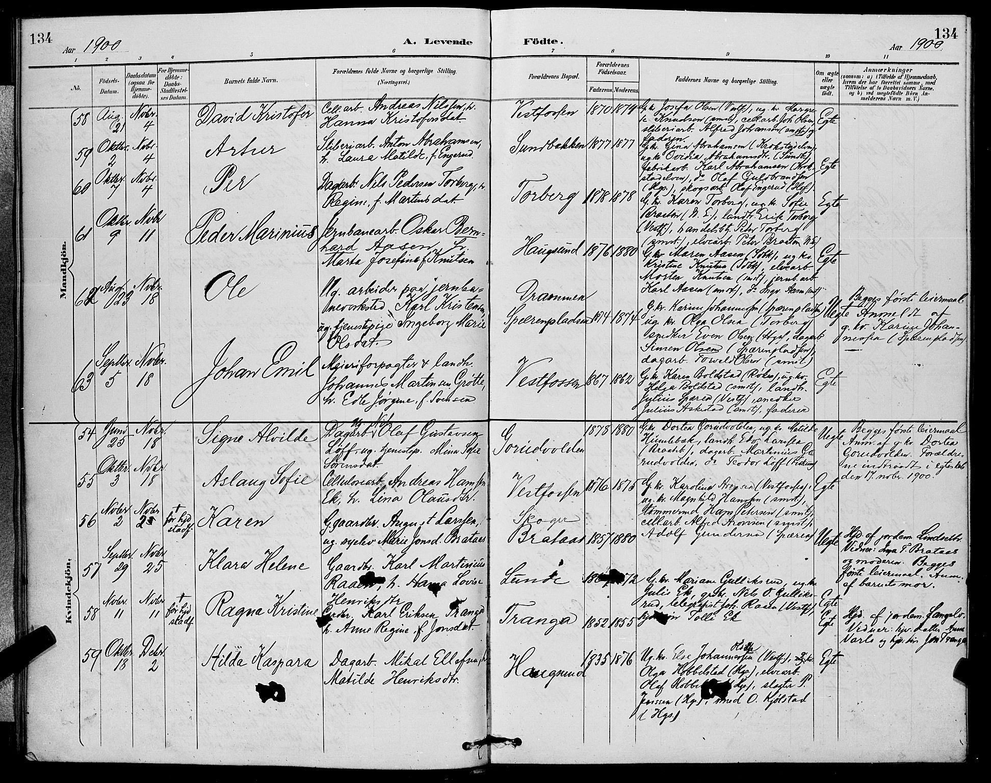 Eiker kirkebøker, AV/SAKO-A-4/G/Ga/L0007: Parish register (copy) no. I 7, 1893-1902, p. 134