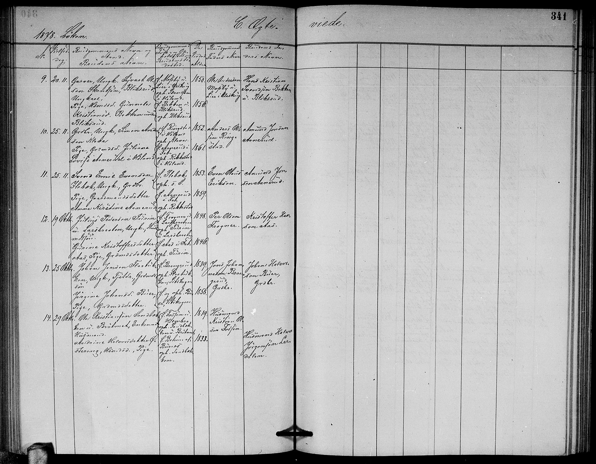 Høland prestekontor Kirkebøker, SAO/A-10346a/G/Ga/L0006: Parish register (copy) no. I 6, 1869-1879, p. 341