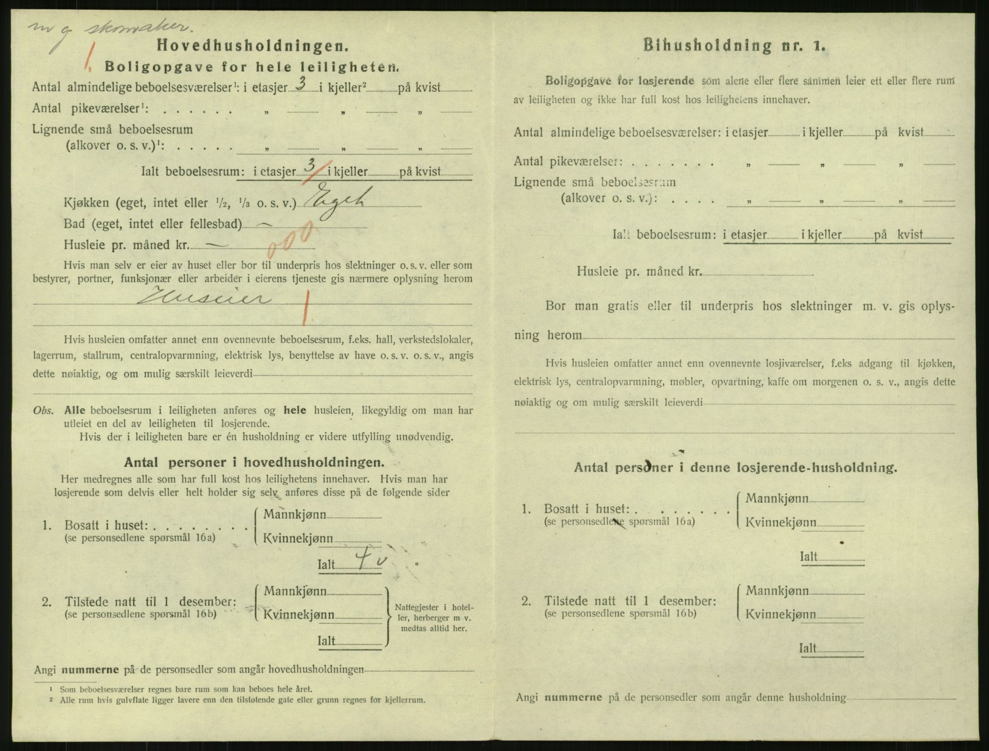 SAKO, 1920 census for Svelvik, 1920, p. 734