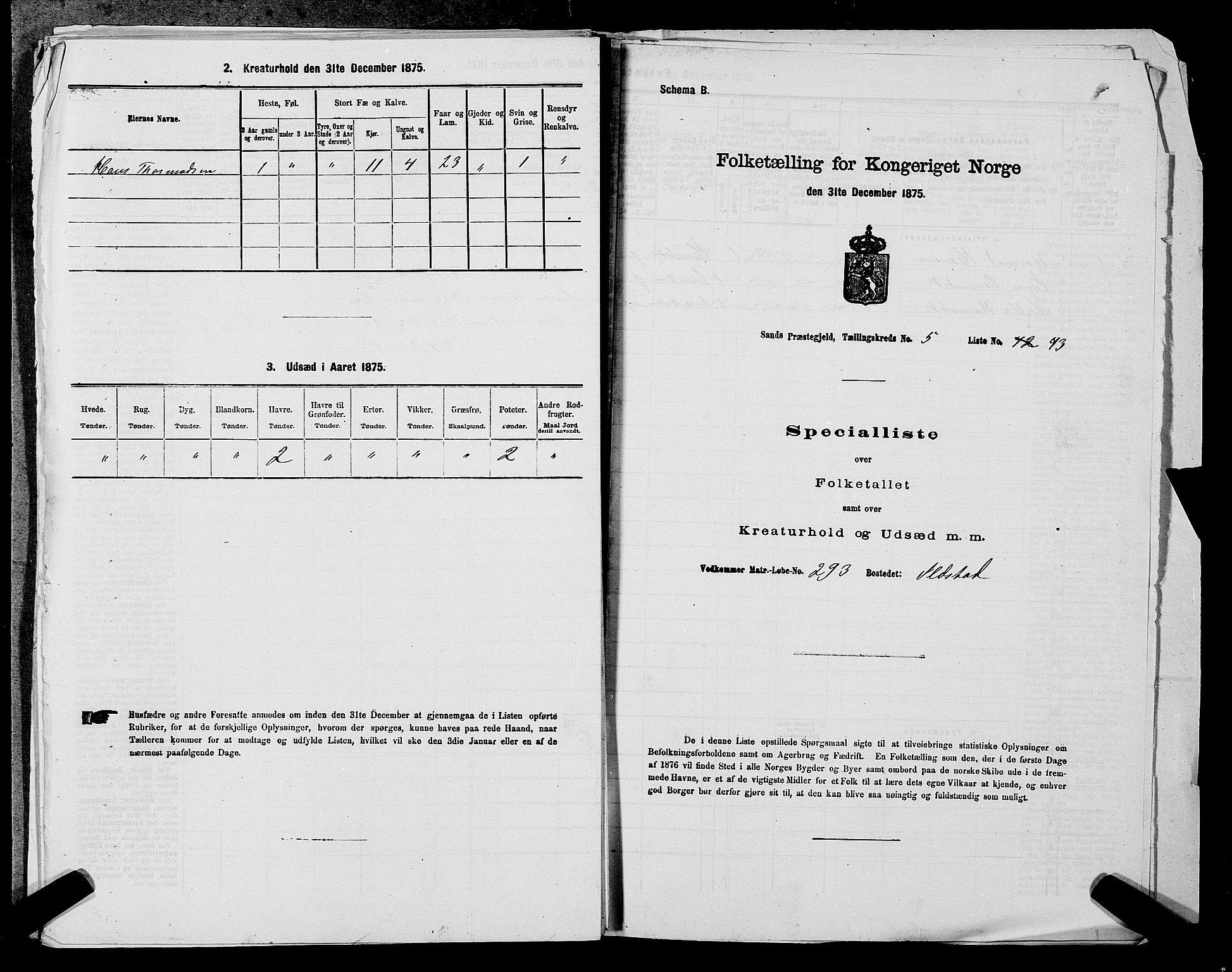 SAST, 1875 census for 1136P Sand, 1875, p. 743