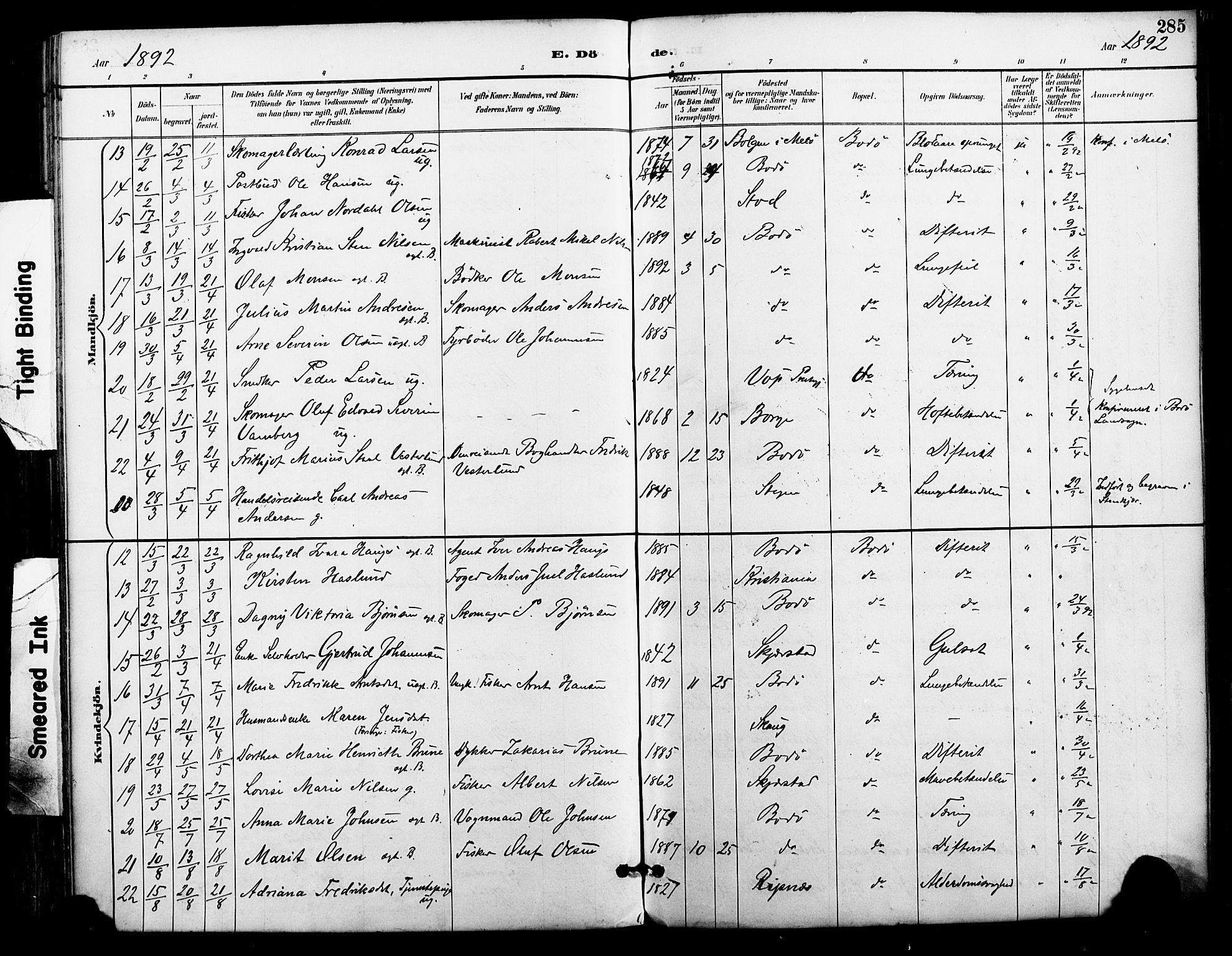 Ministerialprotokoller, klokkerbøker og fødselsregistre - Nordland, AV/SAT-A-1459/801/L0010: Parish register (official) no. 801A10, 1888-1899, p. 285