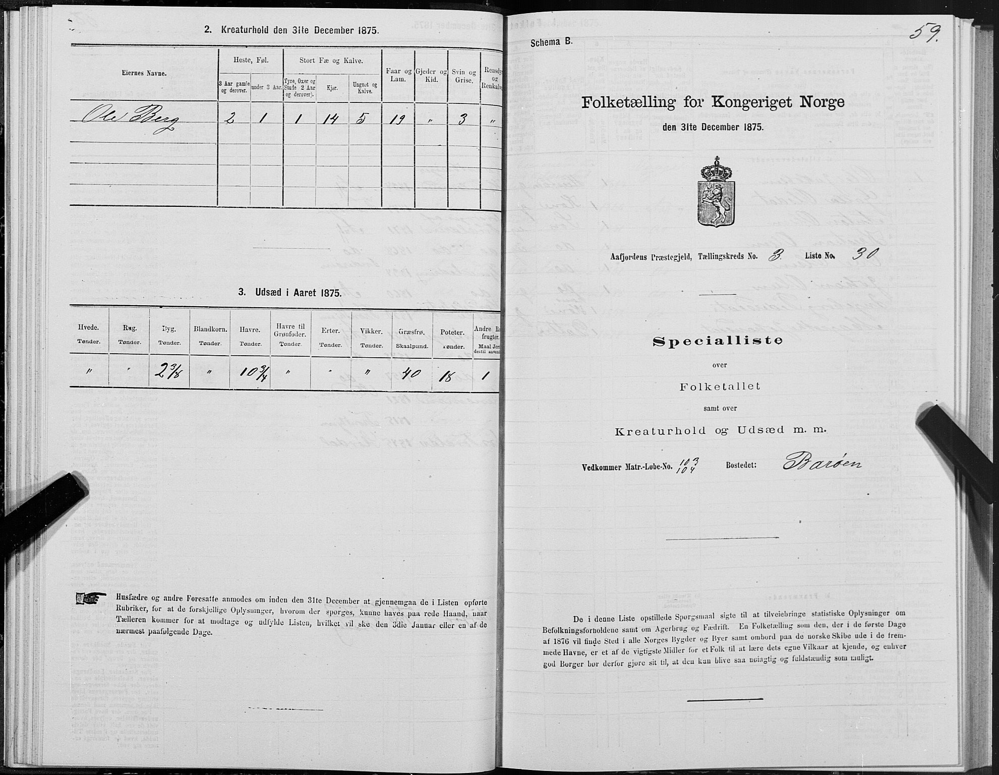 SAT, 1875 census for 1630P Aafjorden, 1875, p. 2059