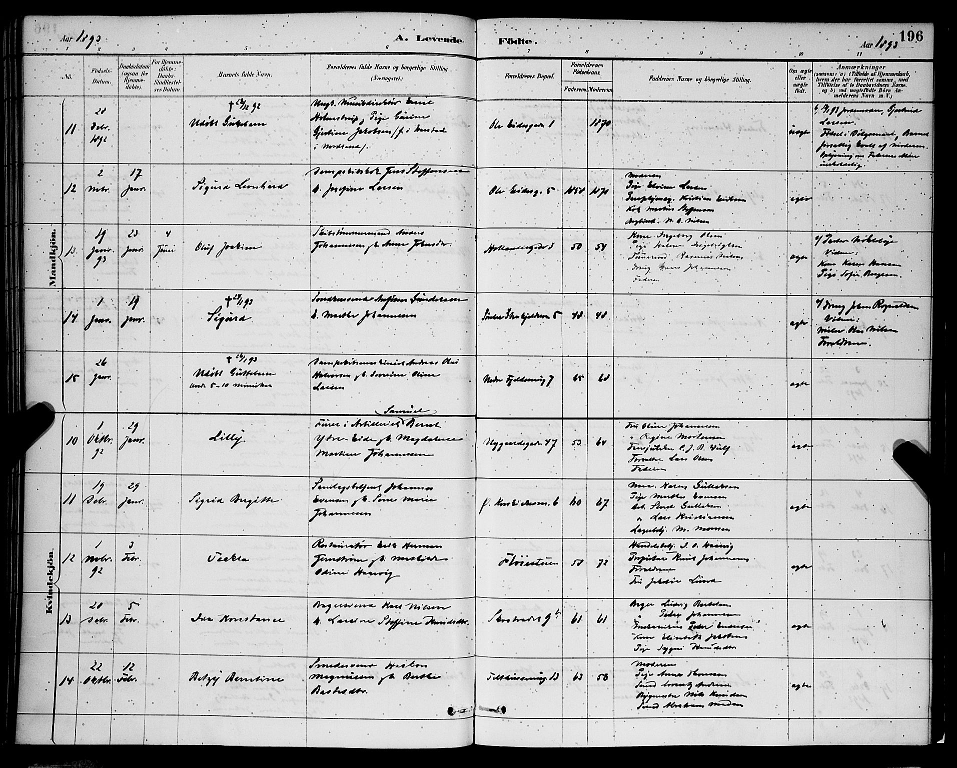 Korskirken sokneprestembete, AV/SAB-A-76101/H/Hab: Parish register (copy) no. B 9, 1887-1896, p. 196