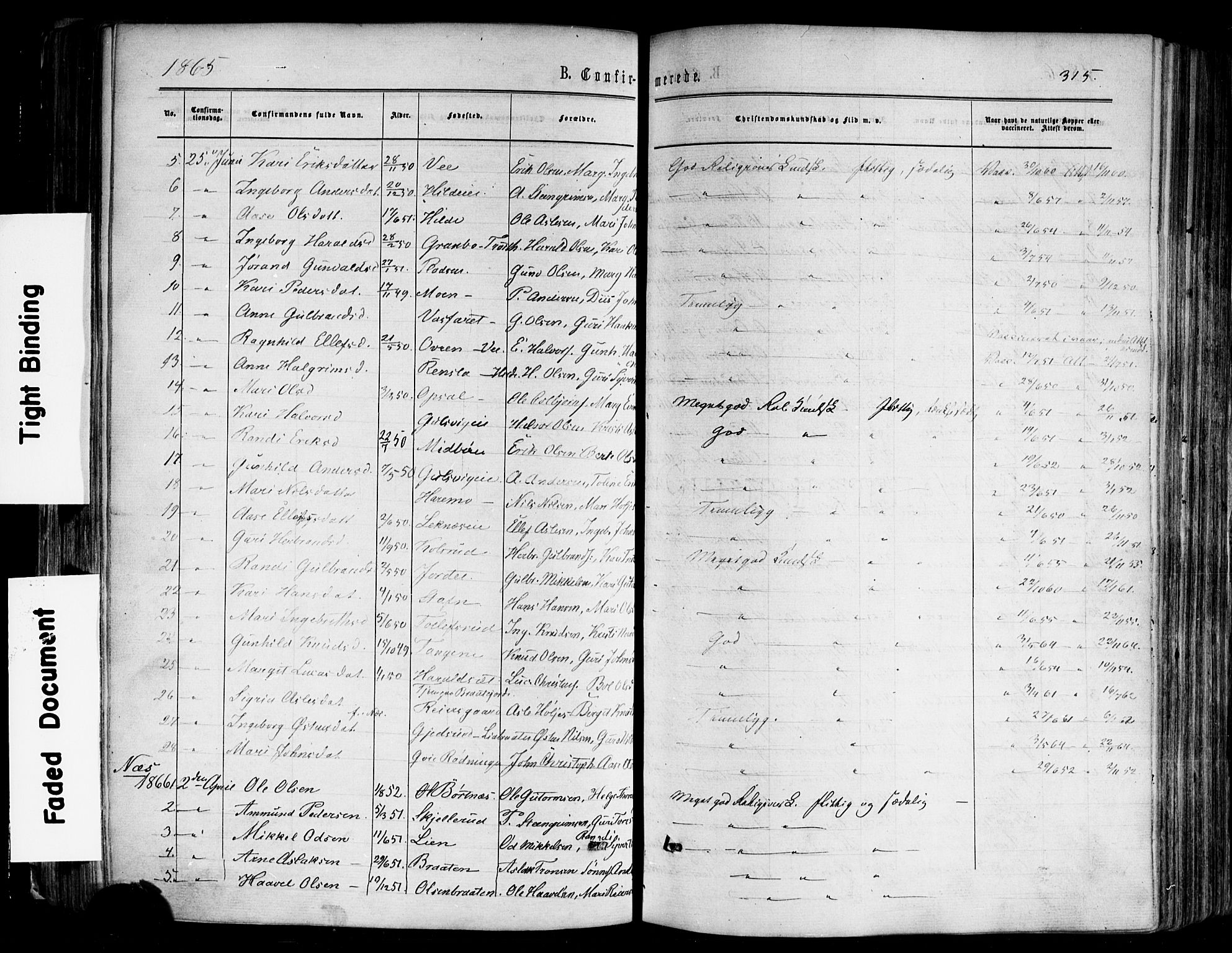 Nes kirkebøker, SAKO/A-236/F/Fa/L0010: Parish register (official) no. 10, 1864-1880, p. 315