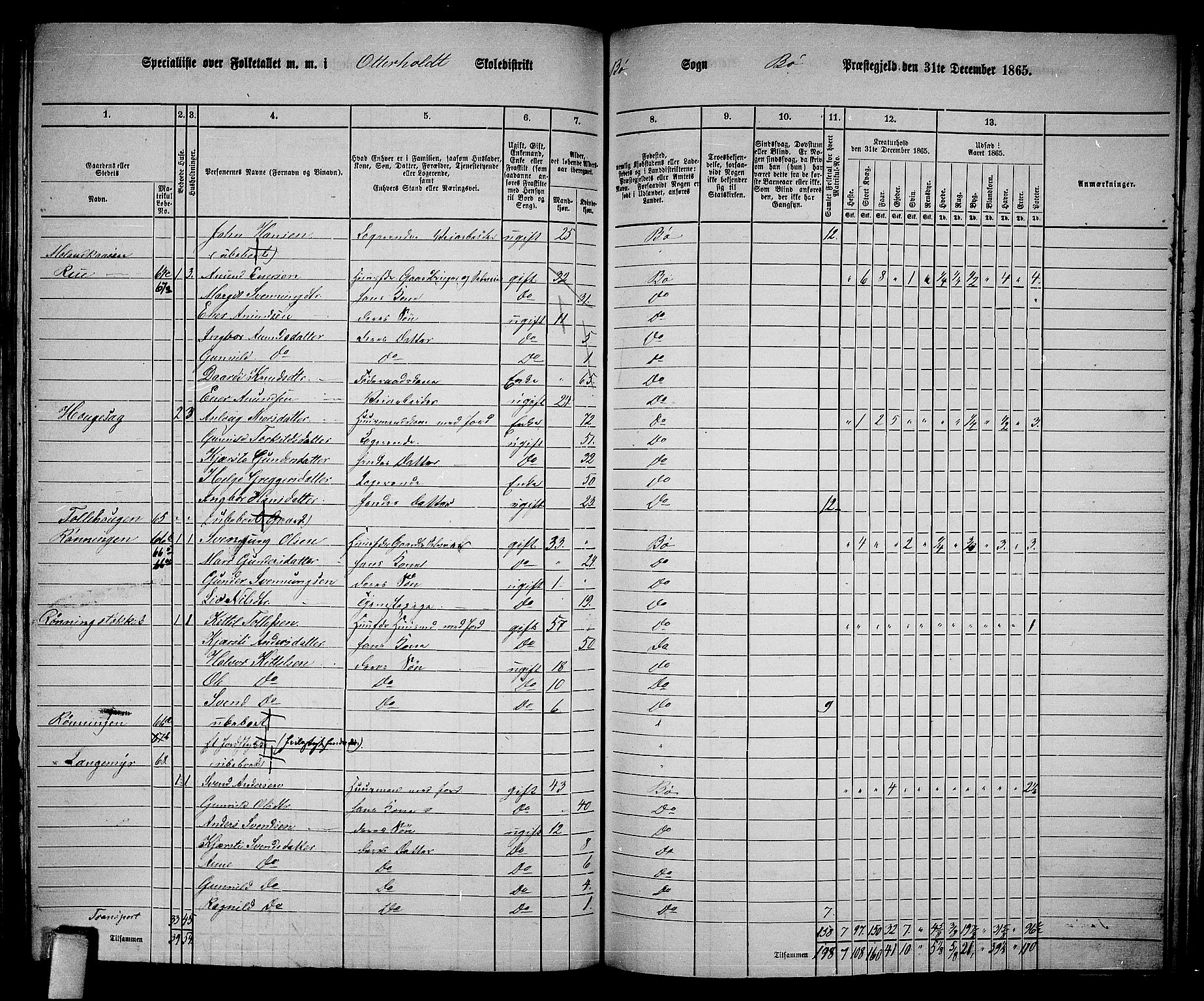 RA, 1865 census for Bø, 1865, p. 165