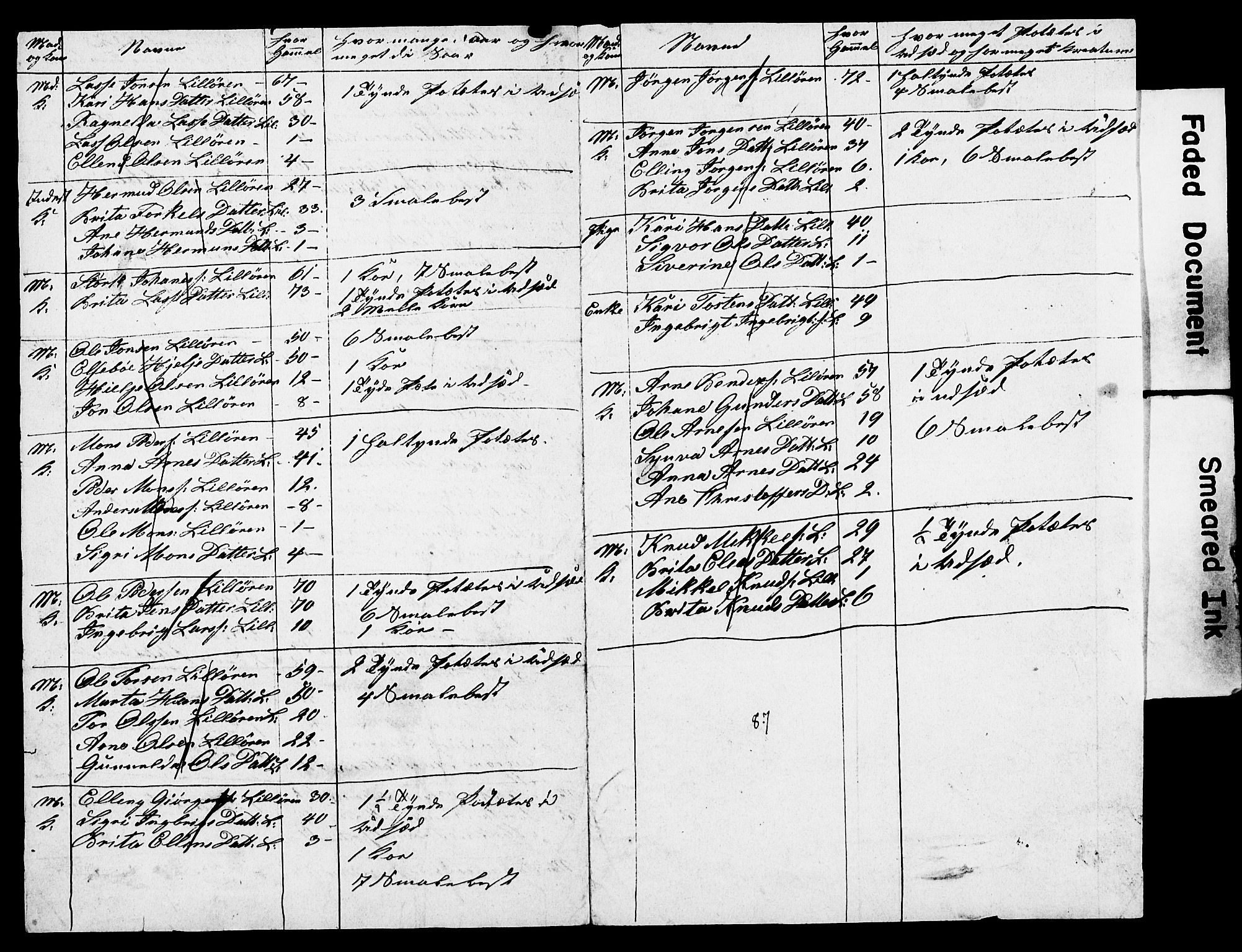 , Census 1845 for Vik, 1845, p. 25