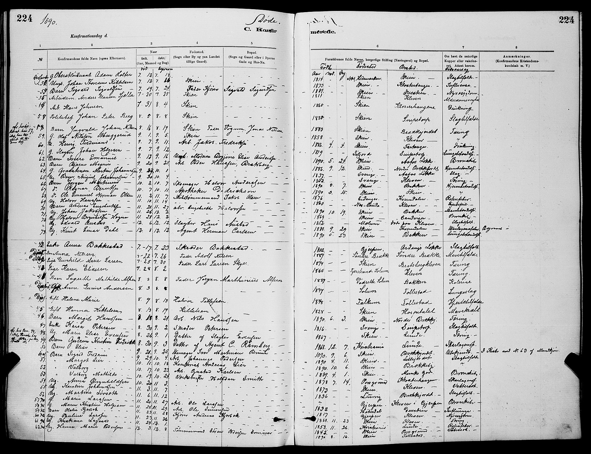 Skien kirkebøker, SAKO/A-302/G/Ga/L0006: Parish register (copy) no. 6, 1881-1890, p. 224